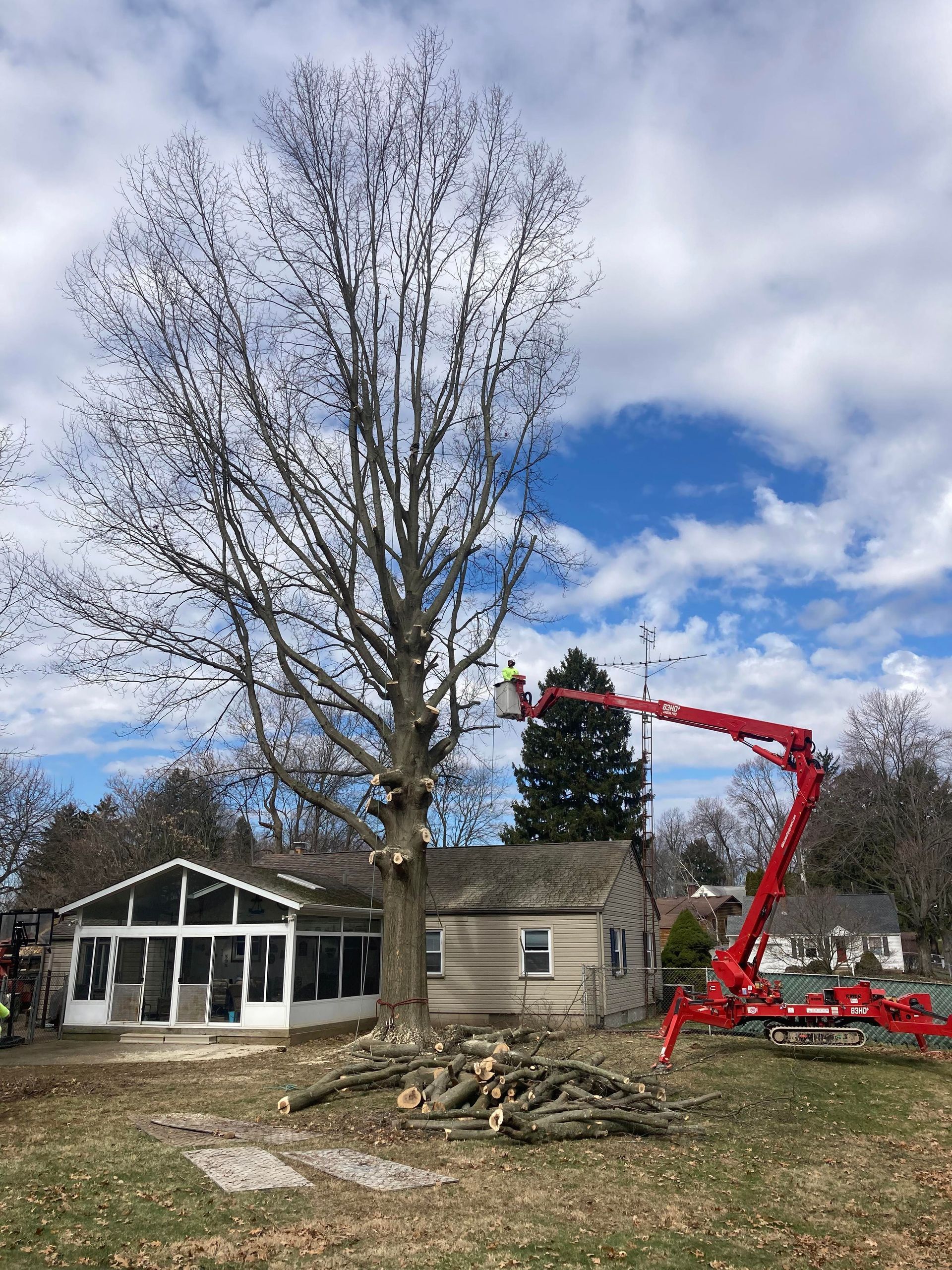 A tree being trimmed by a worker in a red lift near houses, under a partly cloudy sky.
