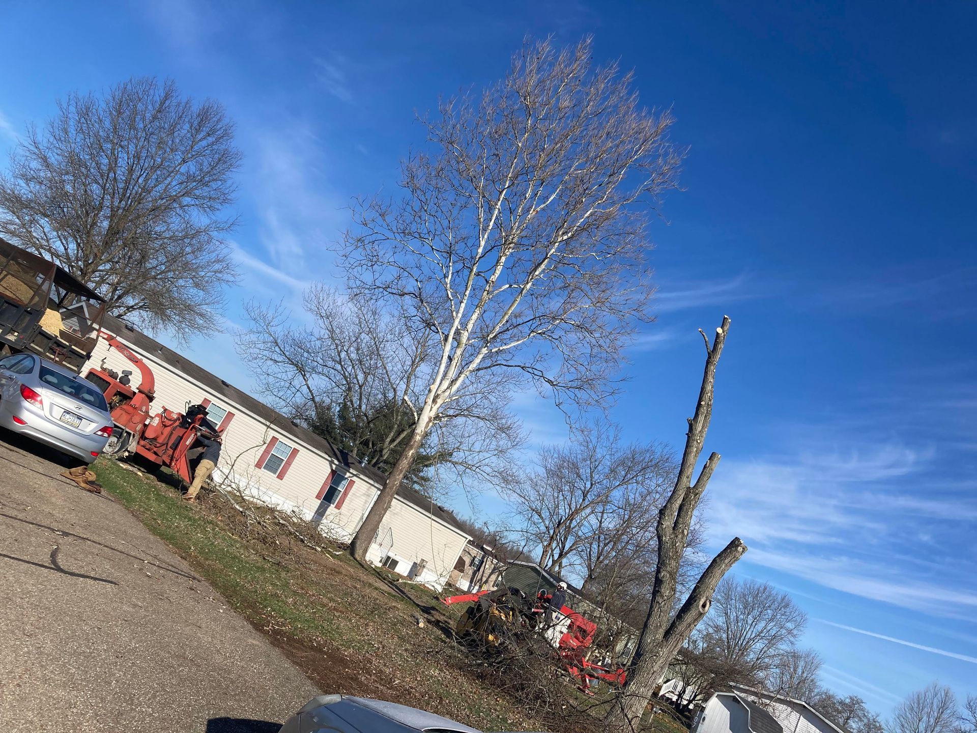 Mobile homes and trees on a sunny day; a machine is working on a tree.