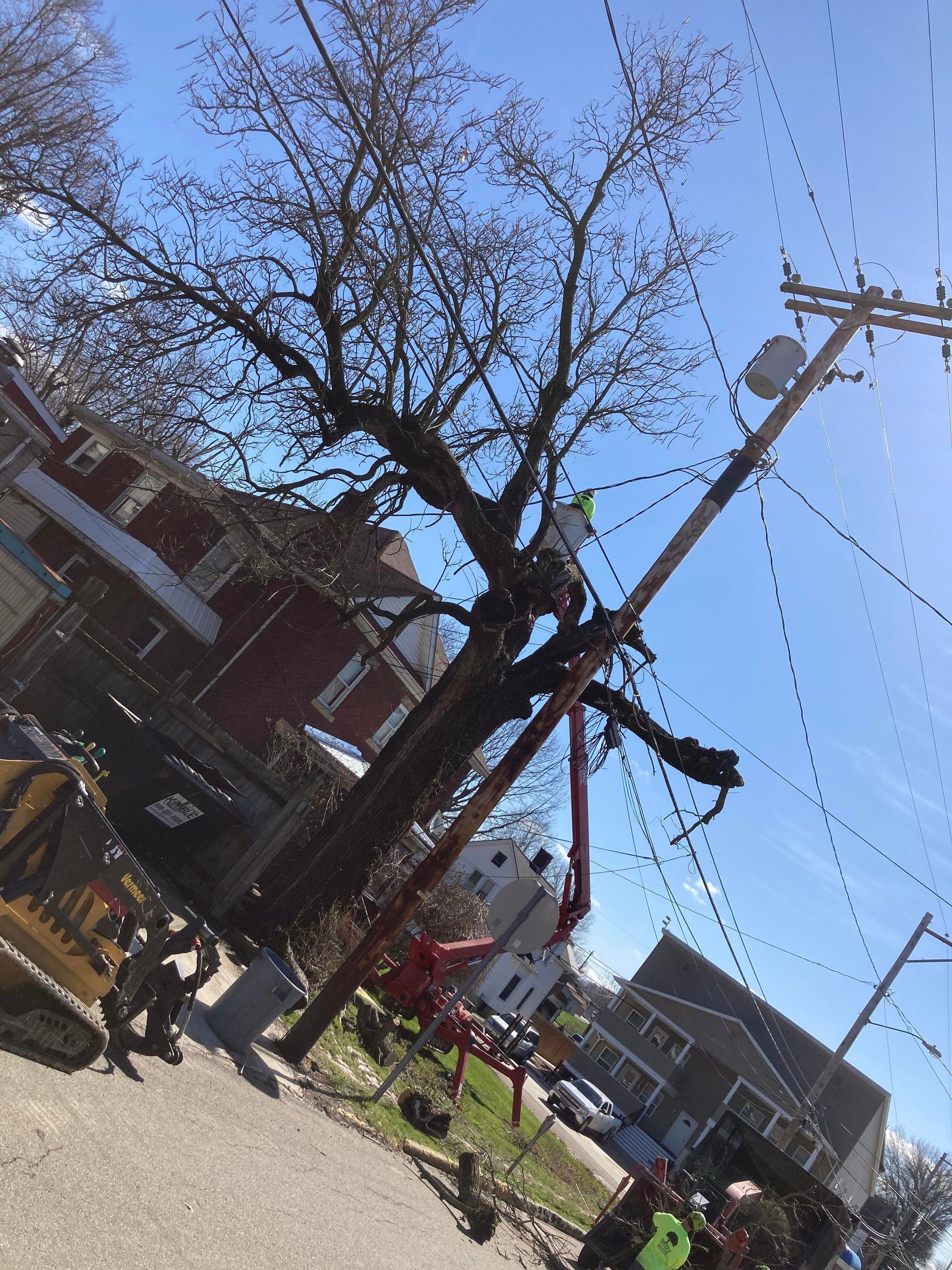 Tree trimming near power lines; worker in lift bucket; sunny day.