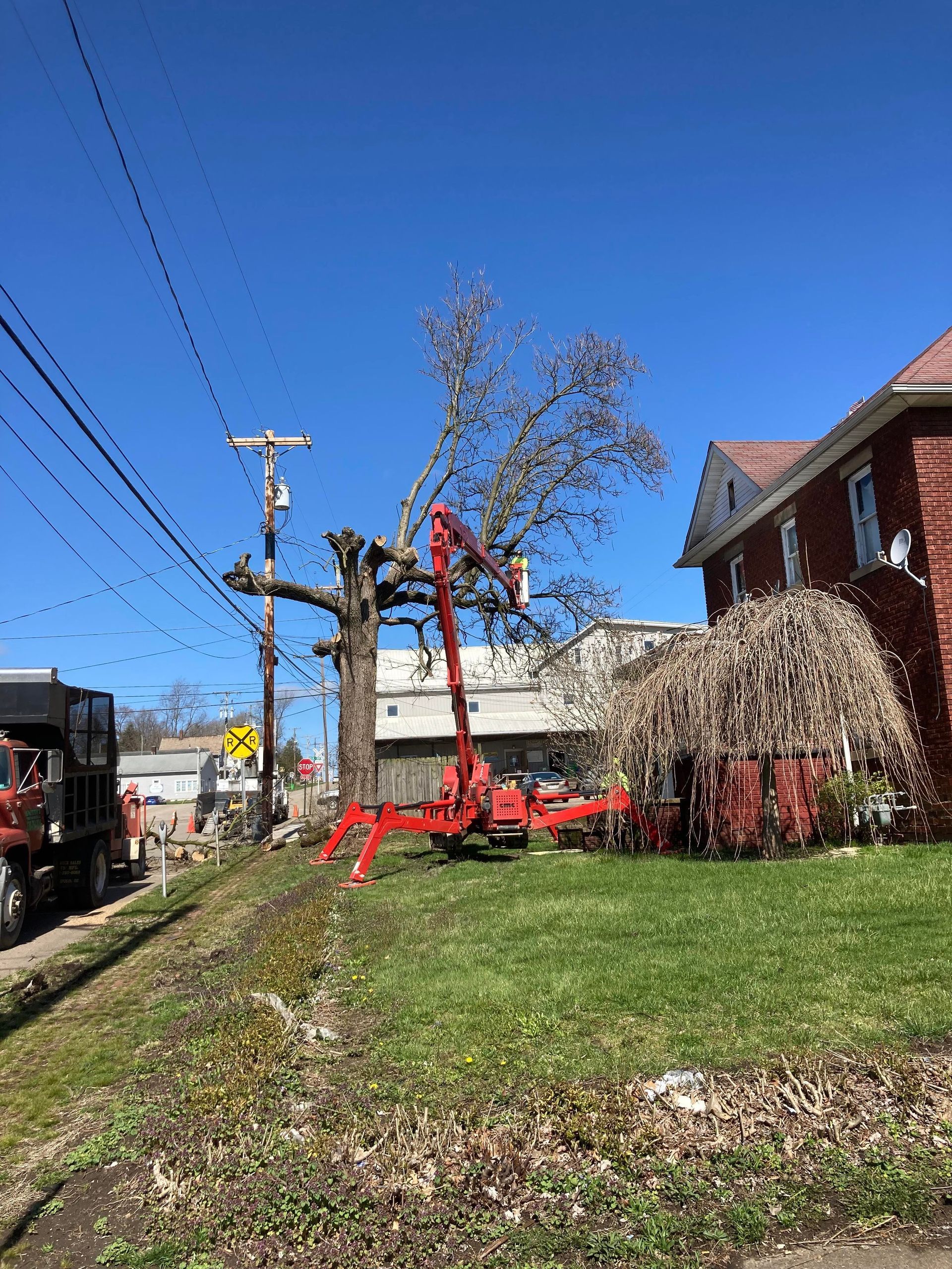 Tree trimming near power lines, red lift truck on lawn, brick house, clear sky.