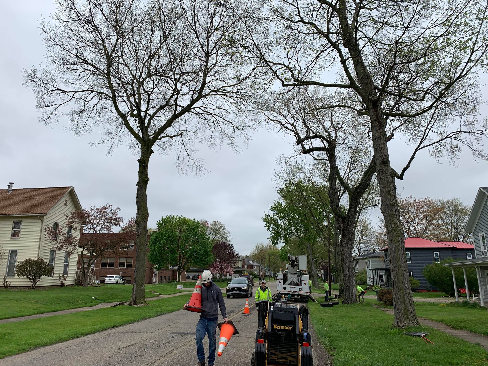 Workers on street with trees, setting up cones. Cloudy day.