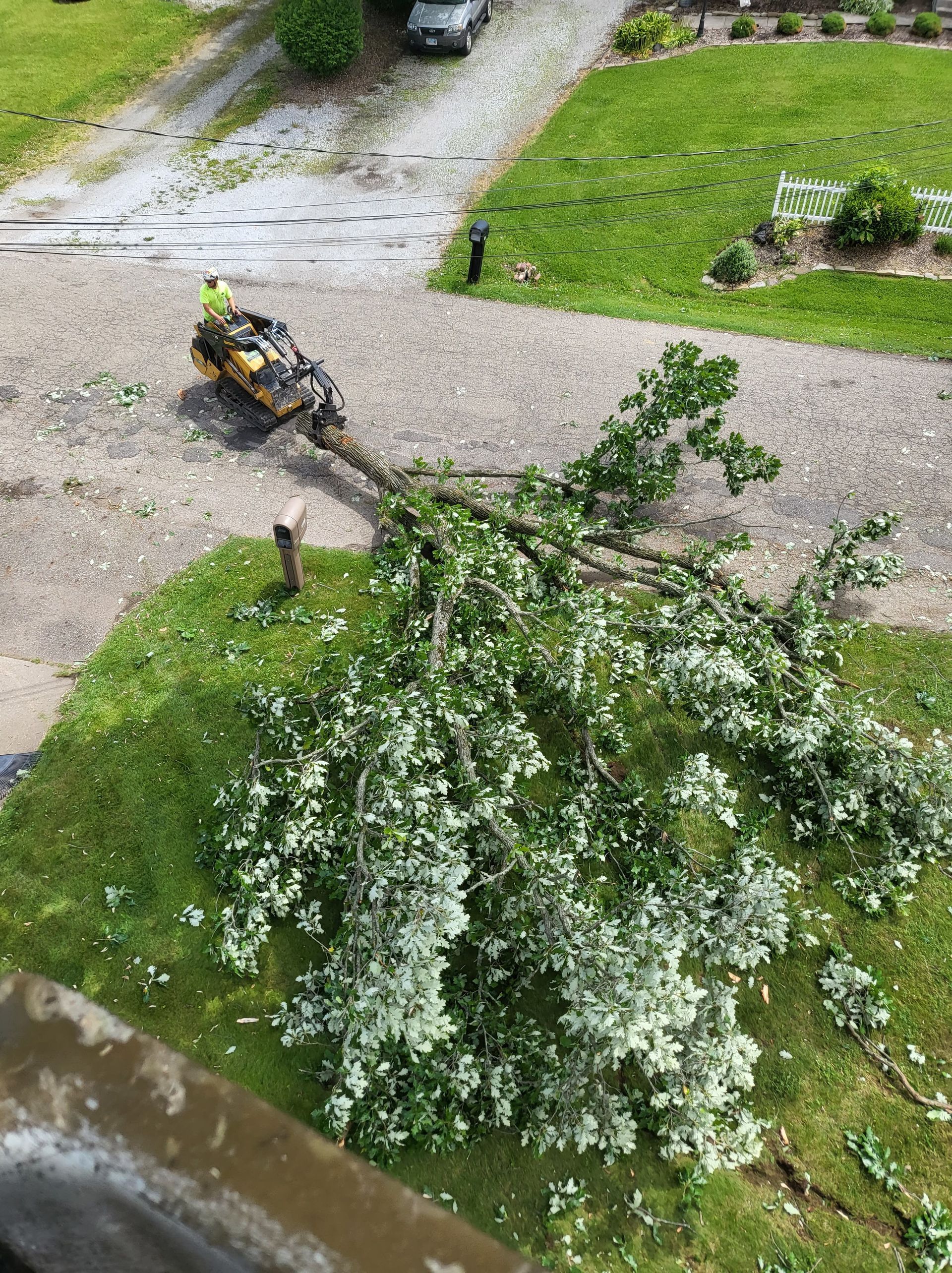 Fallen tree on driveway; worker in a loader clears debris. Overcast day; green grass.