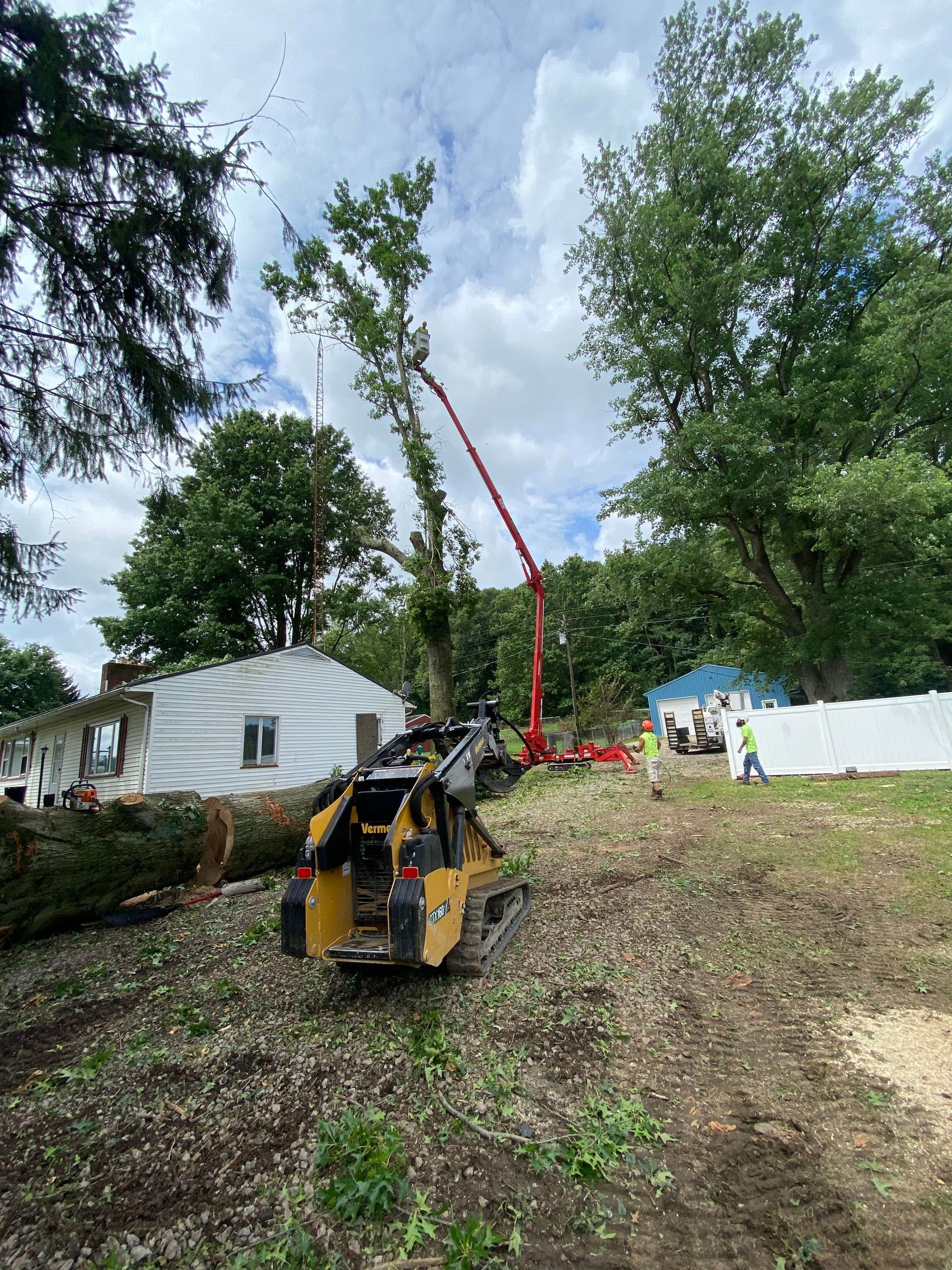 Tree being trimmed with a lift; skid steer in foreground. Debris, white house, and trees are visible.