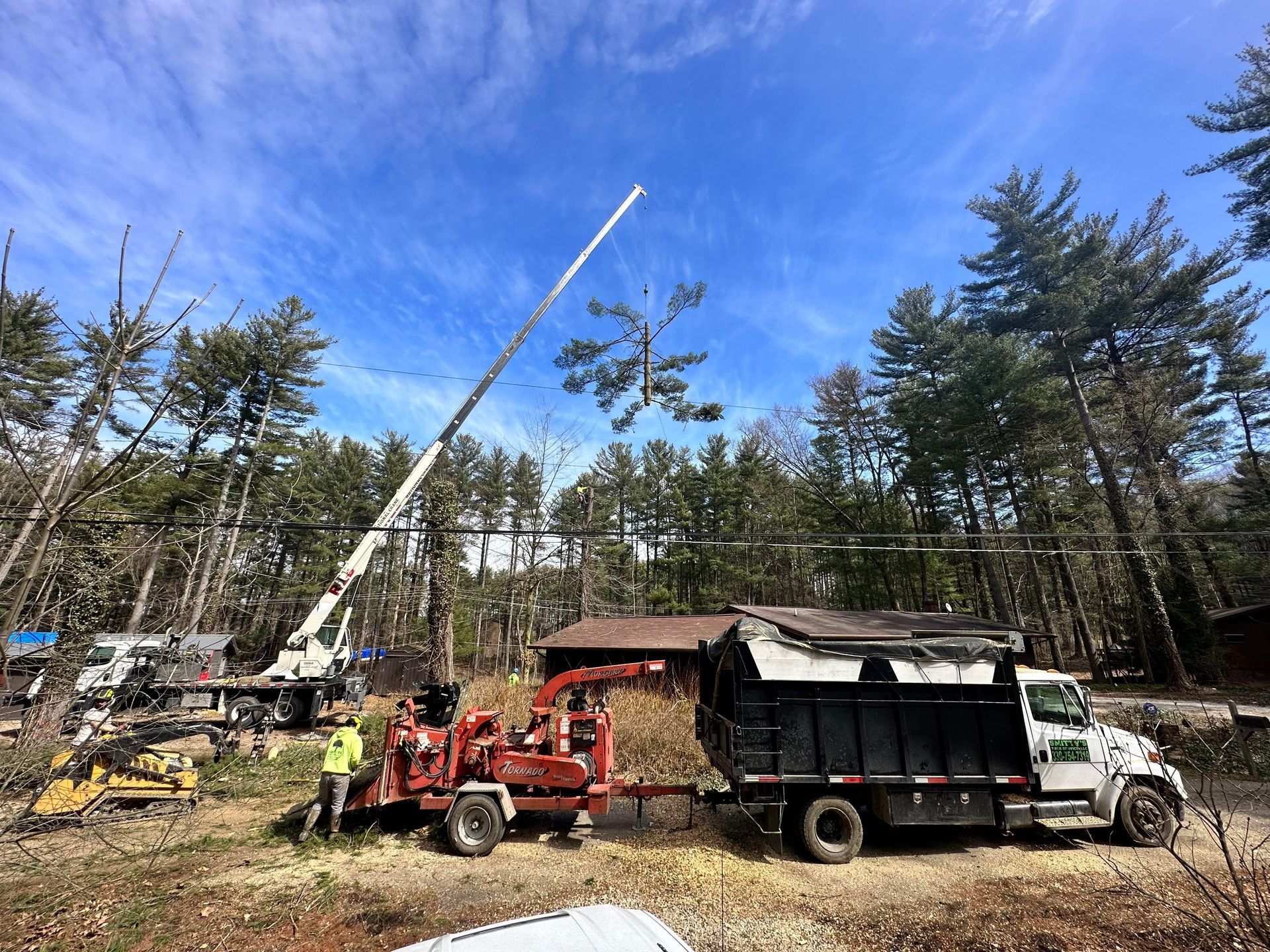 Tree removal scene with a crane, wood chipper, and truck under a blue sky.
