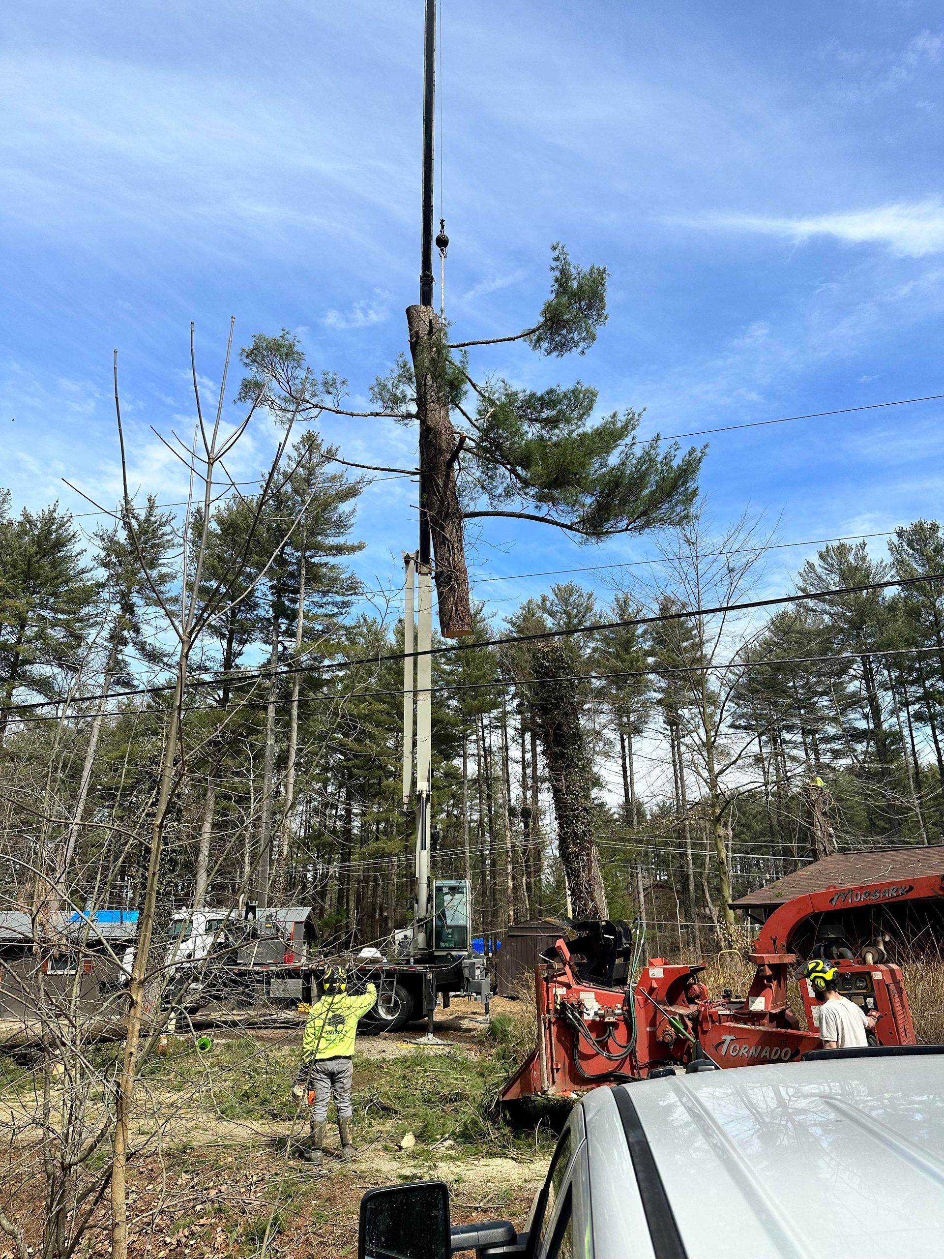 Crane lifting a tree trunk near power lines; construction worker observing in sunny wooded area.