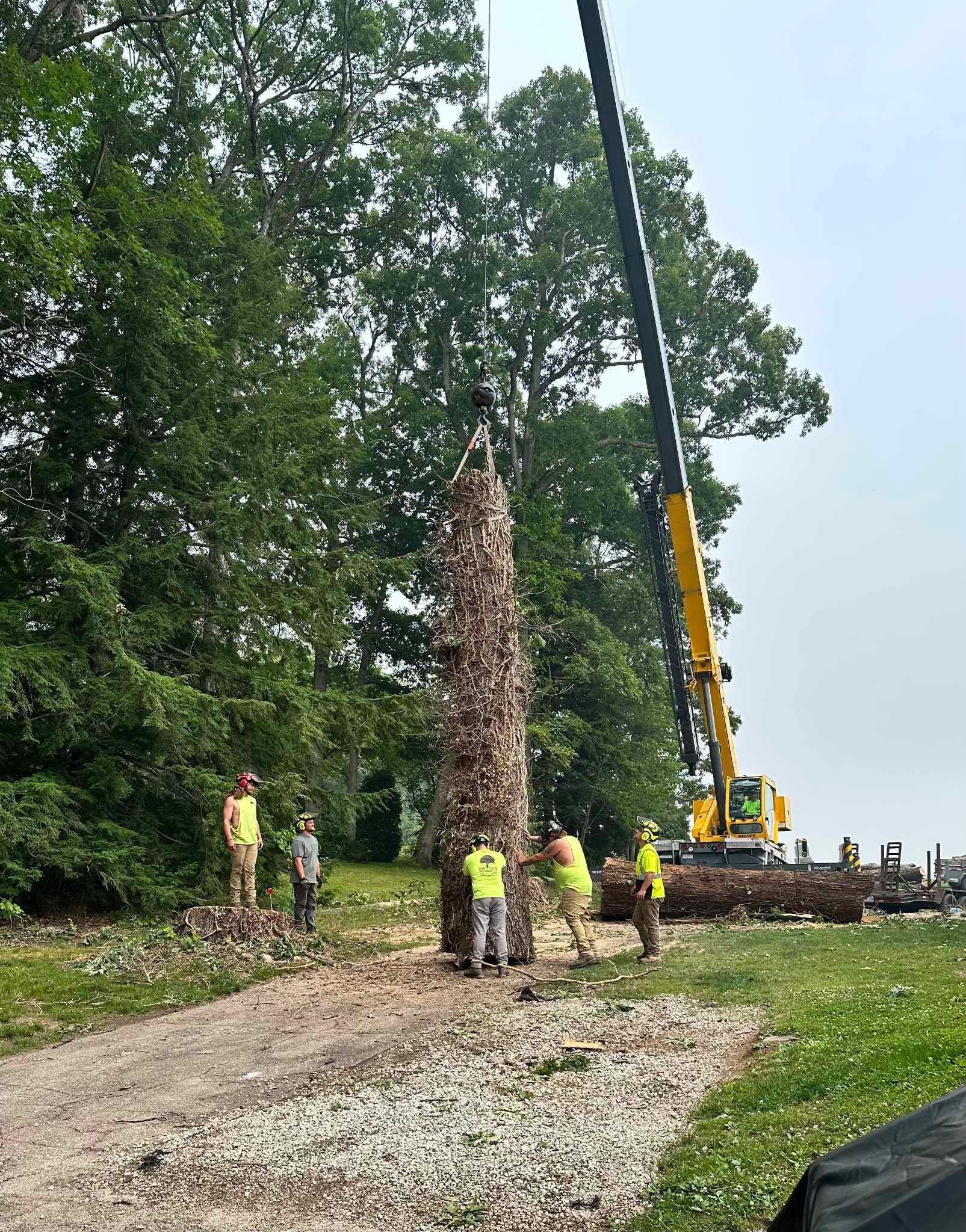 Crane lifting a tall stack of logs; several workers in safety vests standing around.
