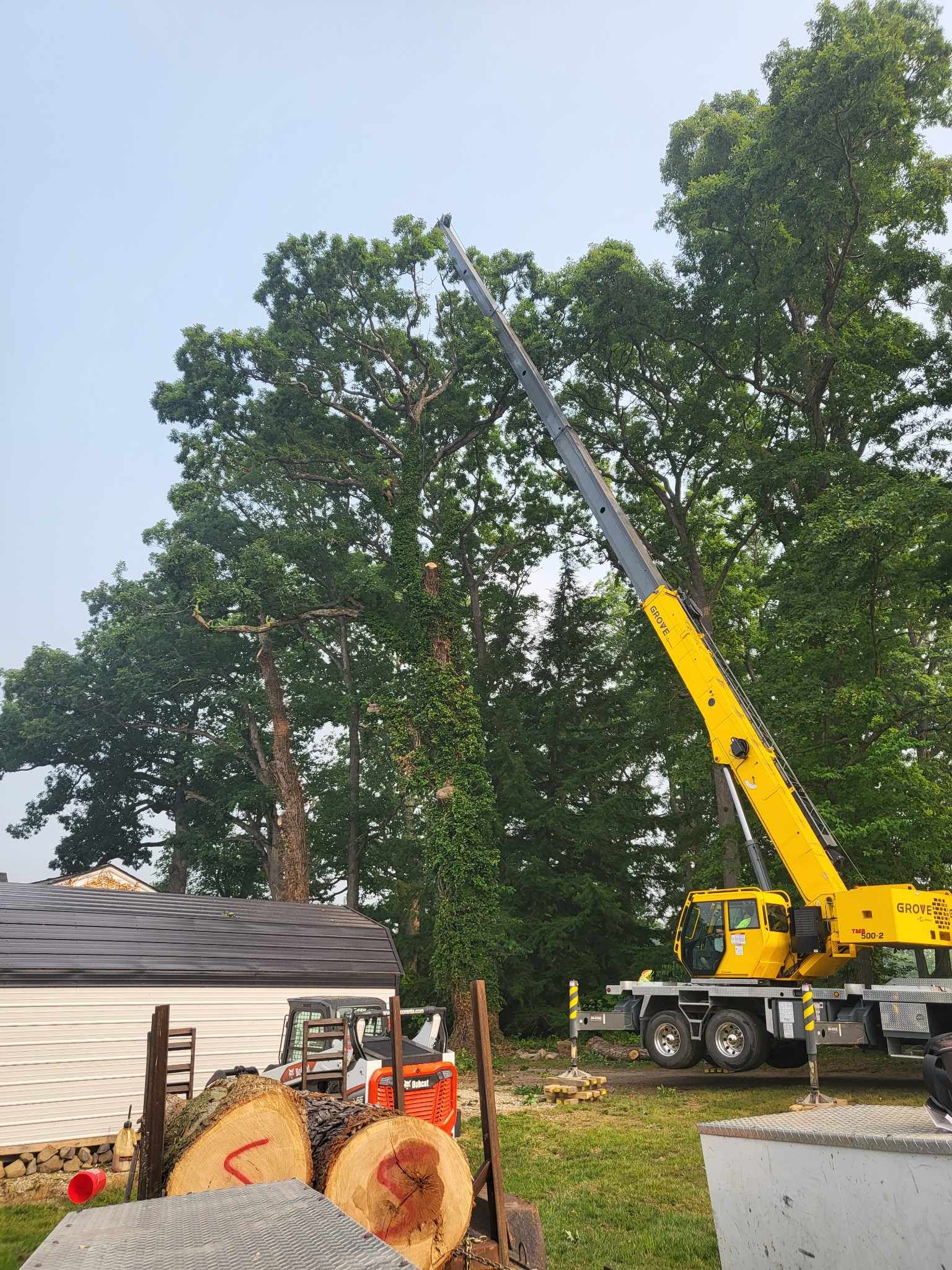 A yellow crane trimming a tall tree next to a building and stacked logs.