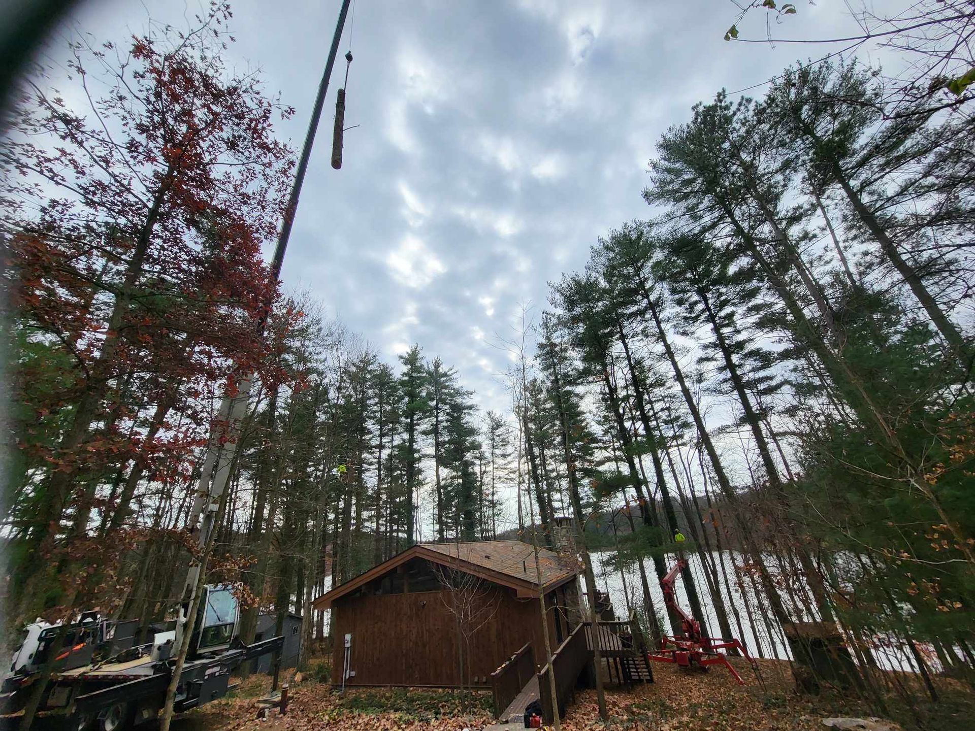Cabin nestled among trees under a cloudy sky near a body of water.