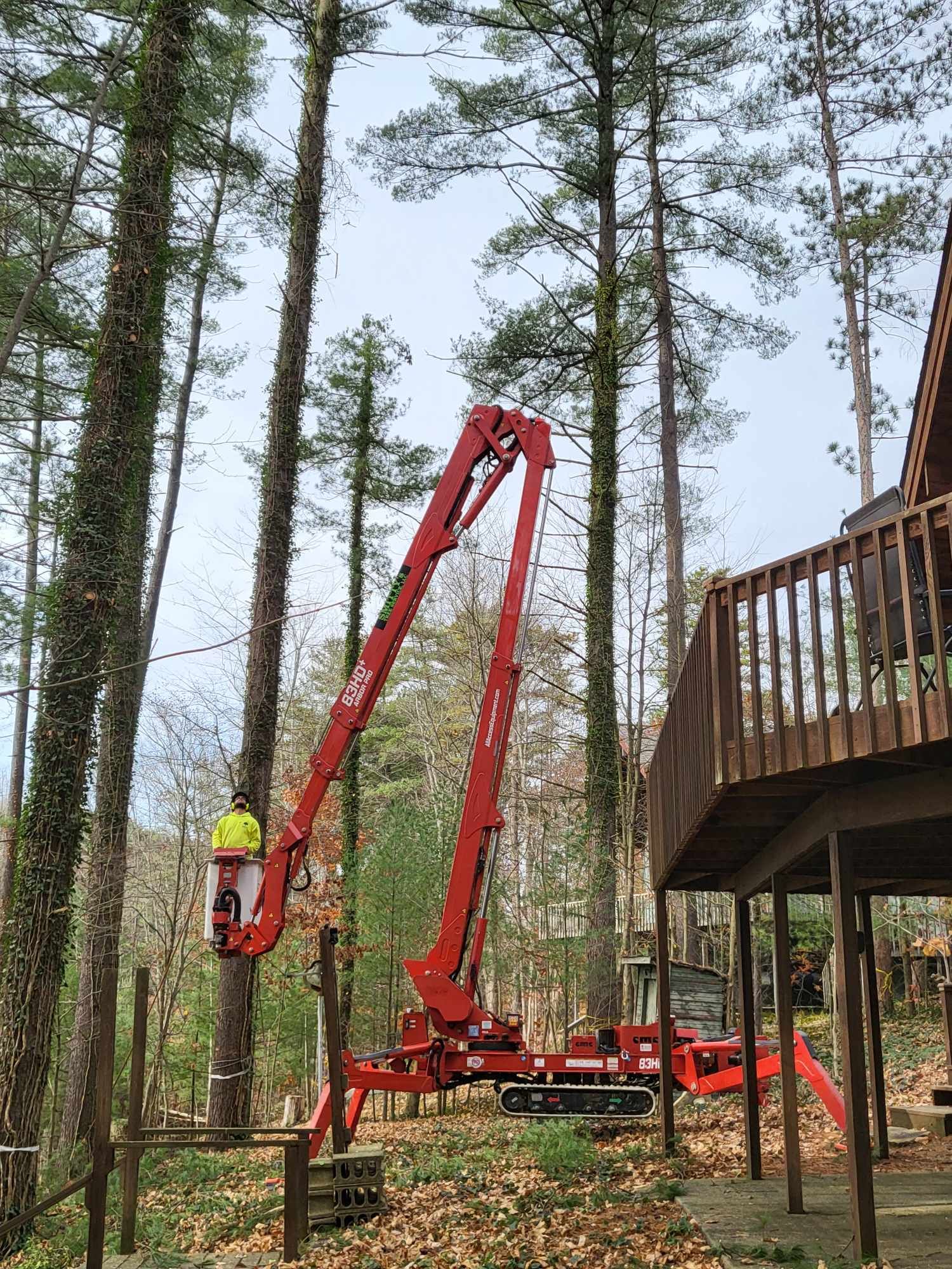 Red tree-trimming lift with worker pruning tall trees near a wooden deck. Cloudy sky, autumn setting.