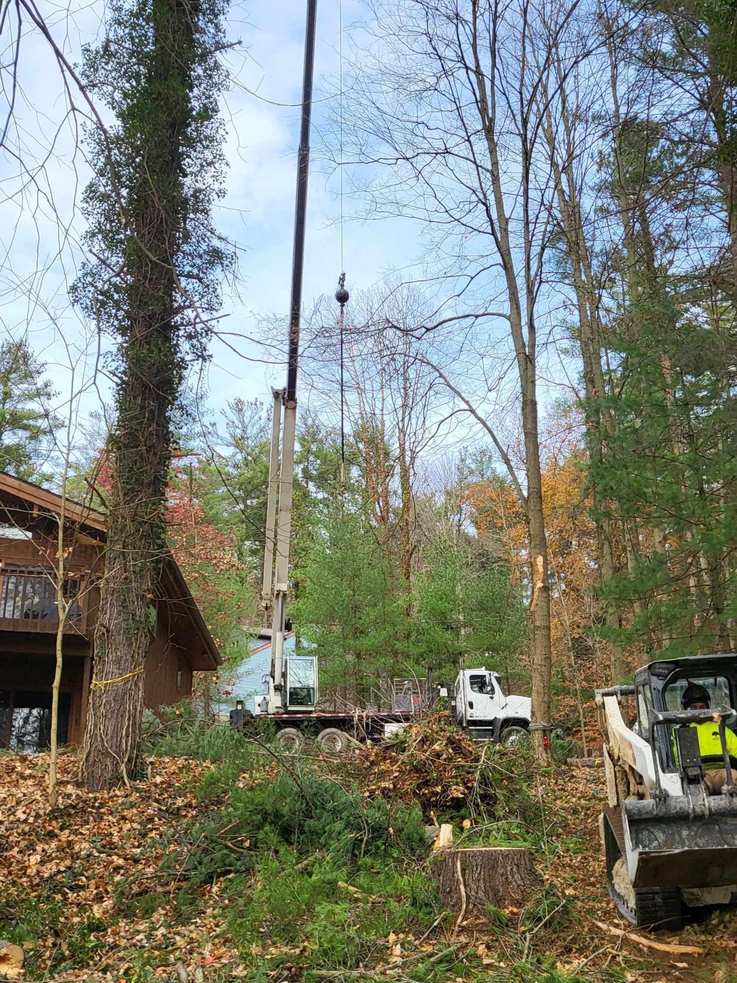 A crane removes a tree near a house. A skid steer sits near cut branches.