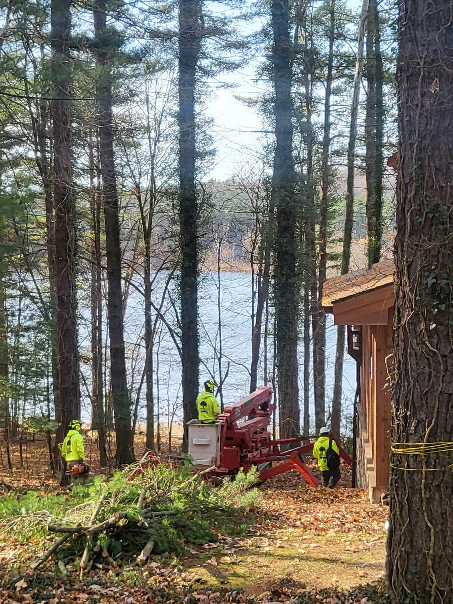 Men in safety vests using tree removal equipment near water.
