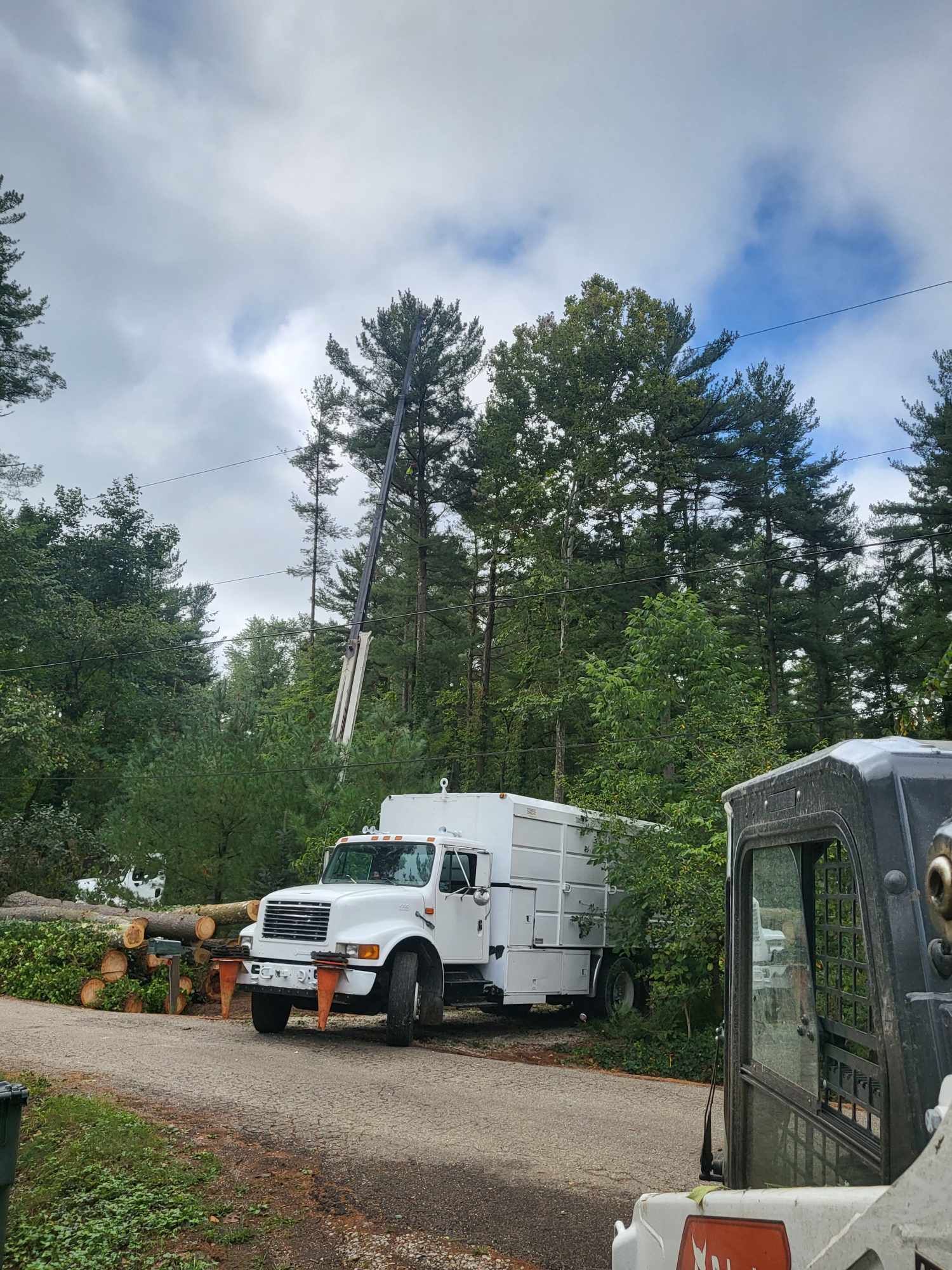 White work truck near tall trees; ladder propped up. Cloudy sky.
