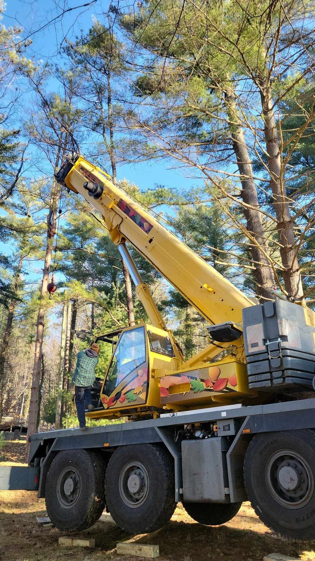 Yellow crane in a wooded area, boom extended. Person in green jacket stands near the cab. Sunny day.