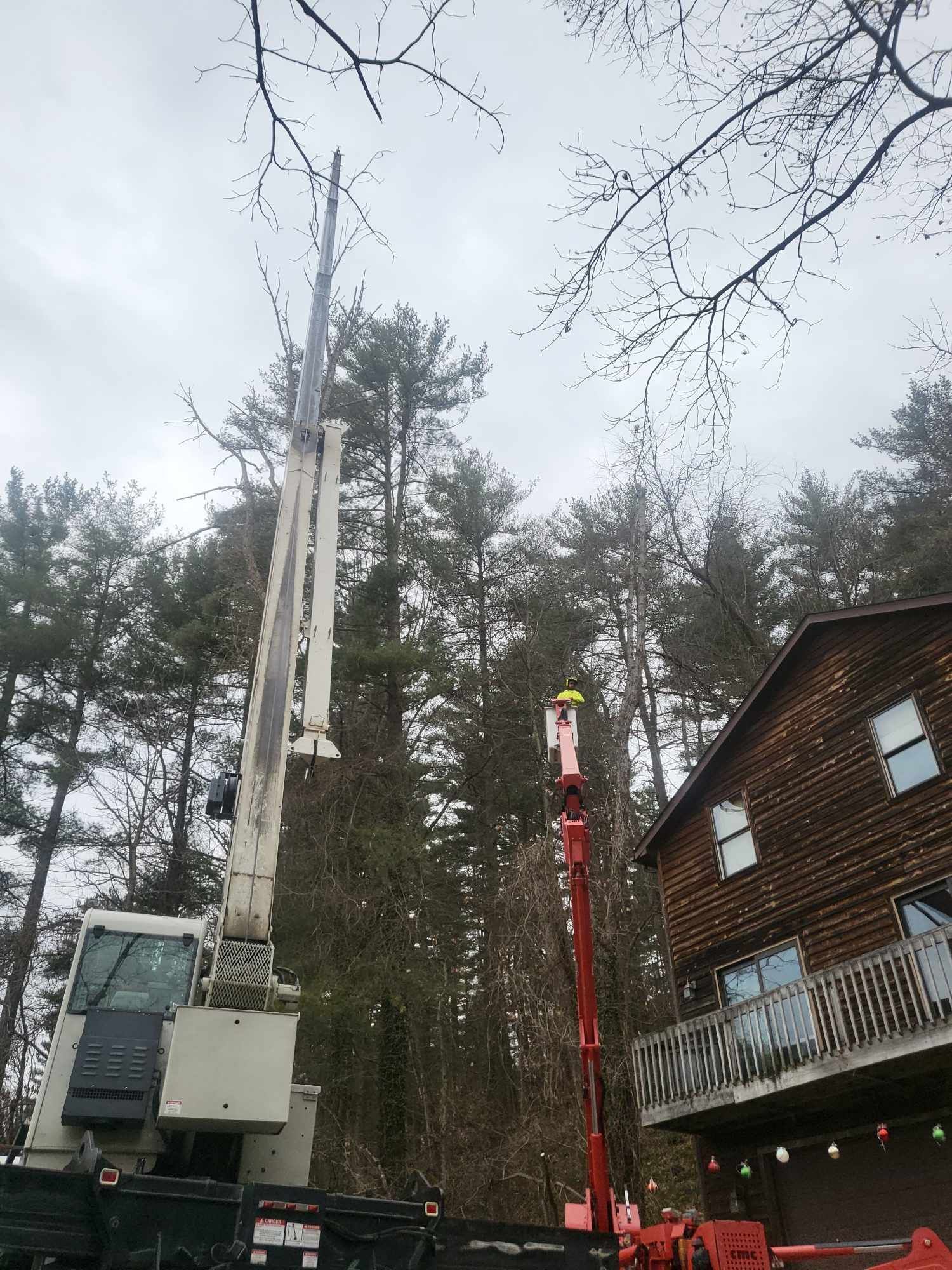 A tall crane and a cherry picker trimming tall trees next to a house on a cloudy day.