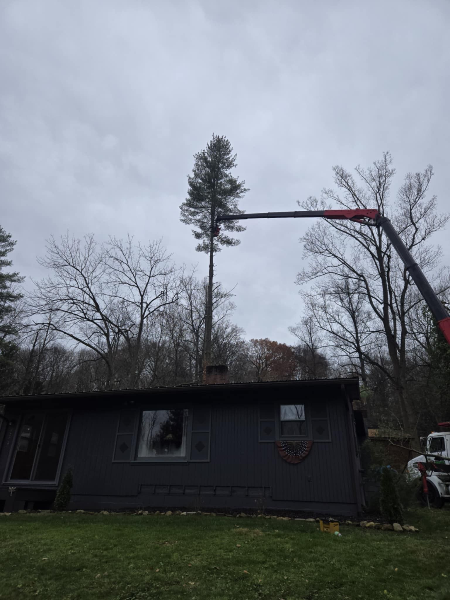 Tree being trimmed near a dark house. A crane arm reaches the tall tree; gray sky.