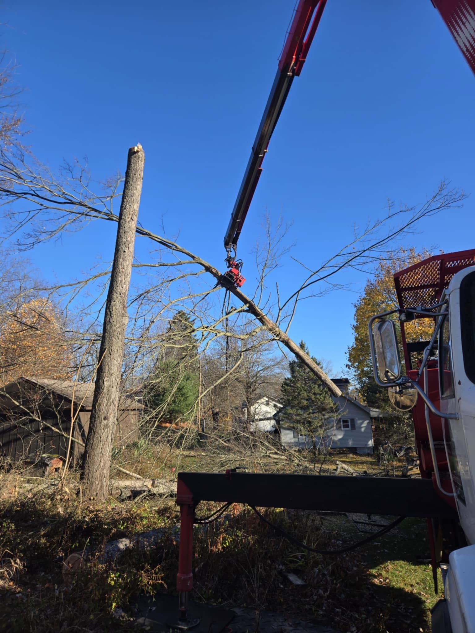 A tree being cut with a crane. Red crane arm against a blue sky, tree branches, and foliage.