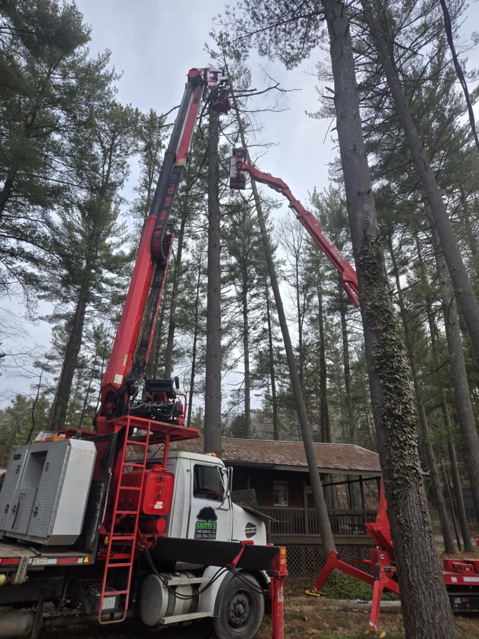 Truck-mounted lift trimming tall tree branches. Red boom reaches toward tree. Outdoors setting with forest background.