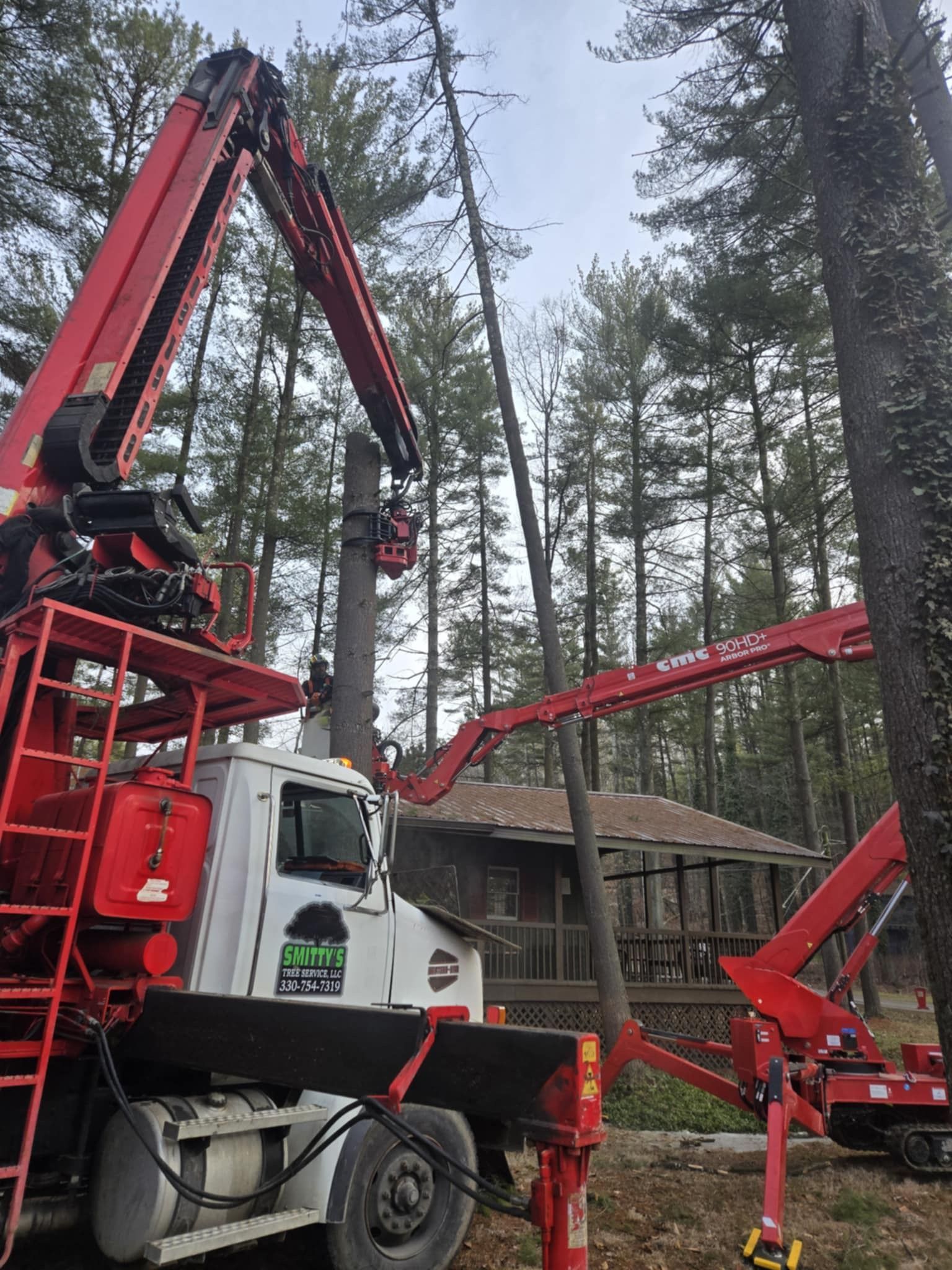 Red tree-trimming truck cutting a tall tree near a cabin in a forest.