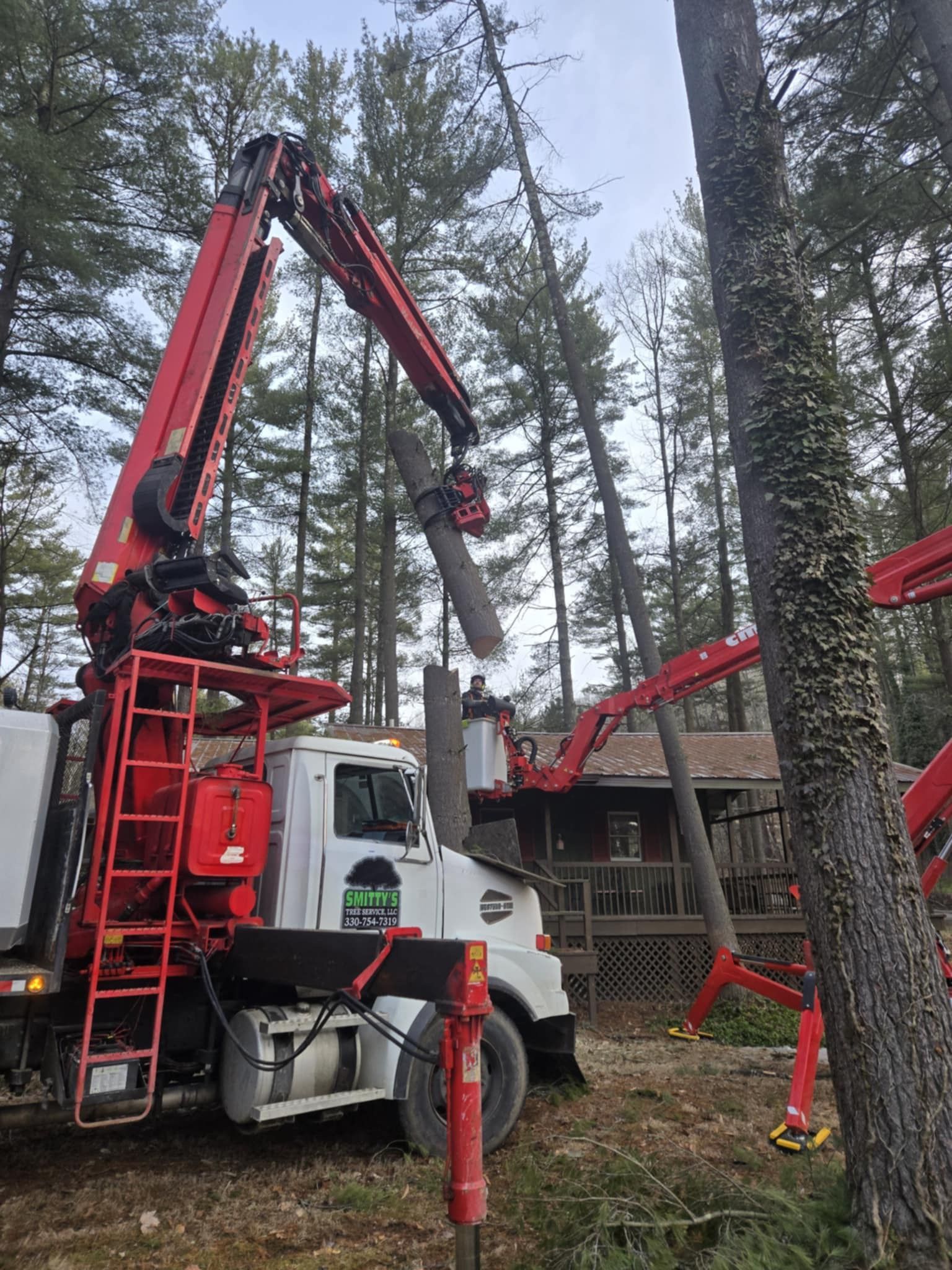 Truck with a red crane removing a tree trunk near a house in a wooded area.