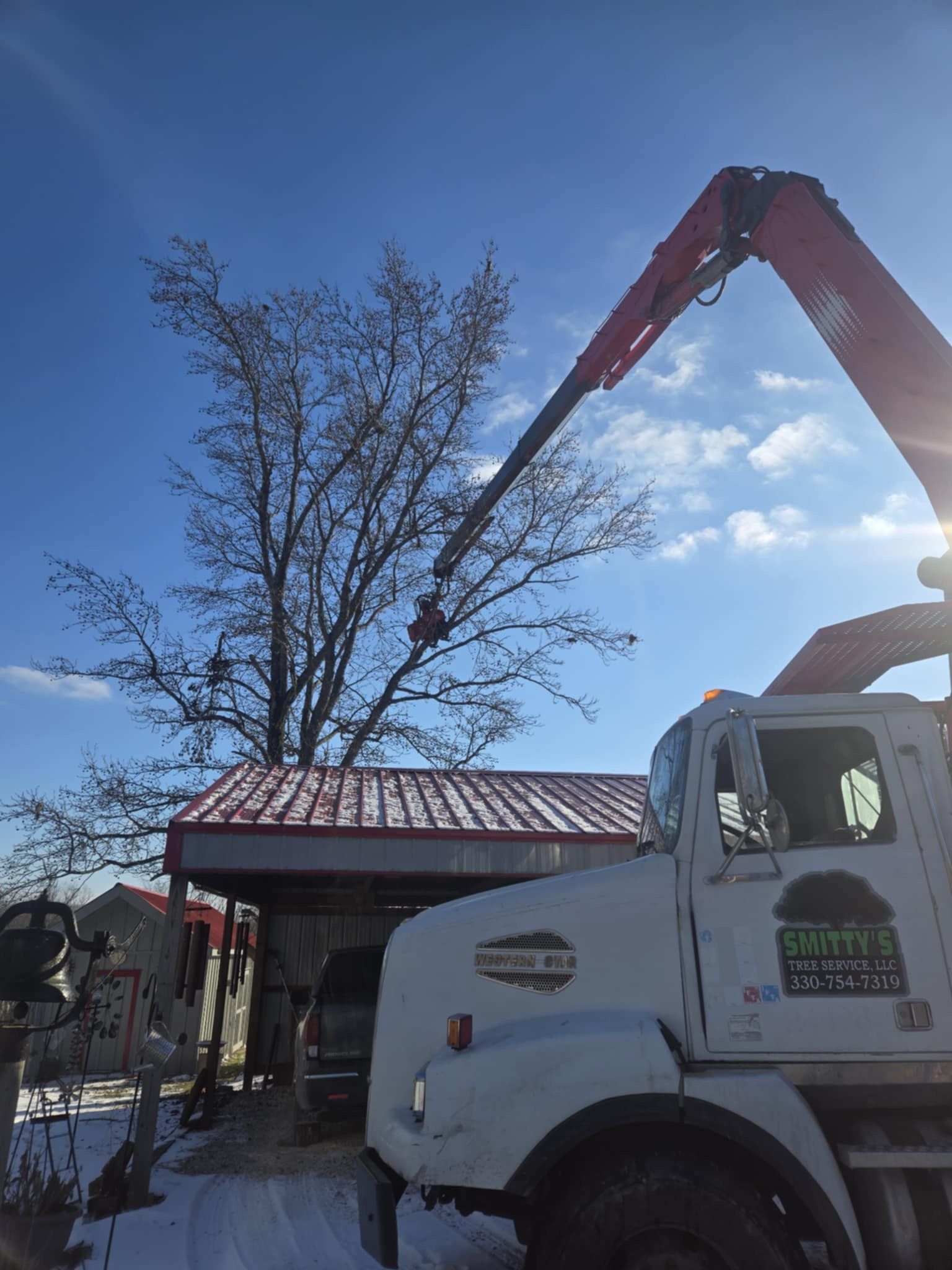 Truck with crane trimming a tree, sunny day. White truck, red roof, blue sky, snow on ground.