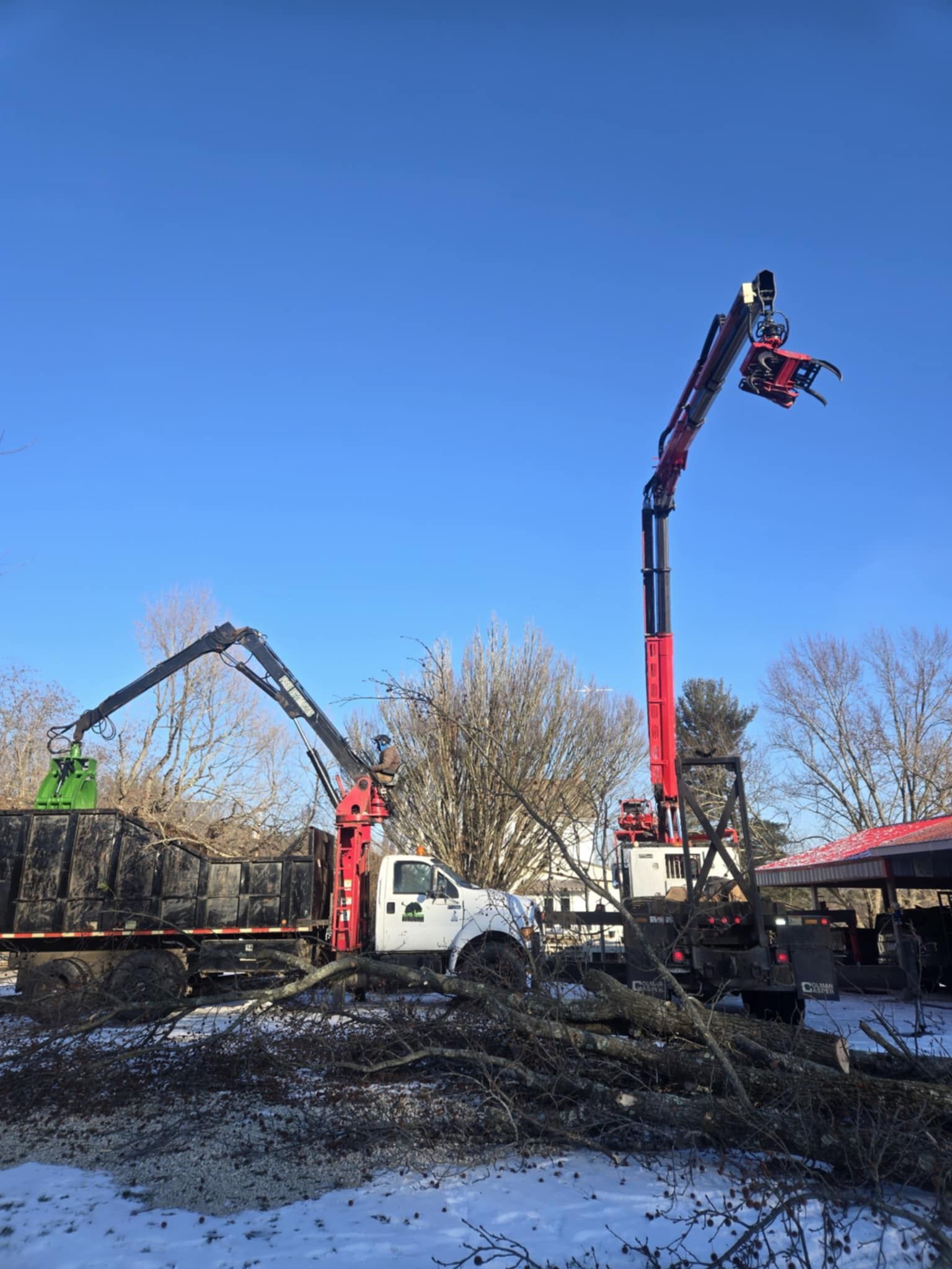 Two red and black tree-trimming trucks with extended arms, against a bright blue sky, collecting debris in snowy area.