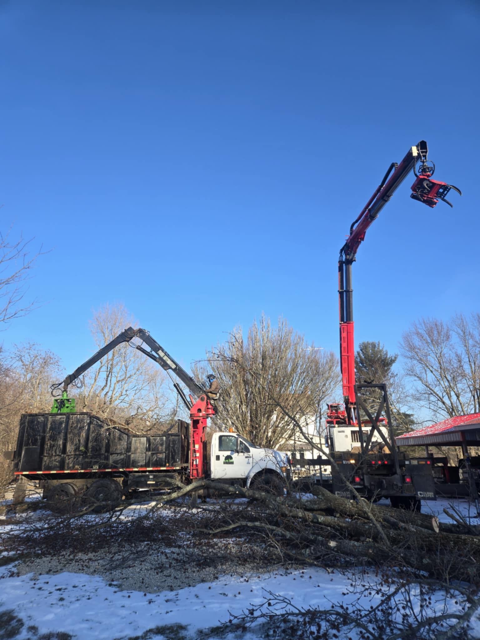 Truck with crane loading brush into a dumpster under a clear, blue sky.