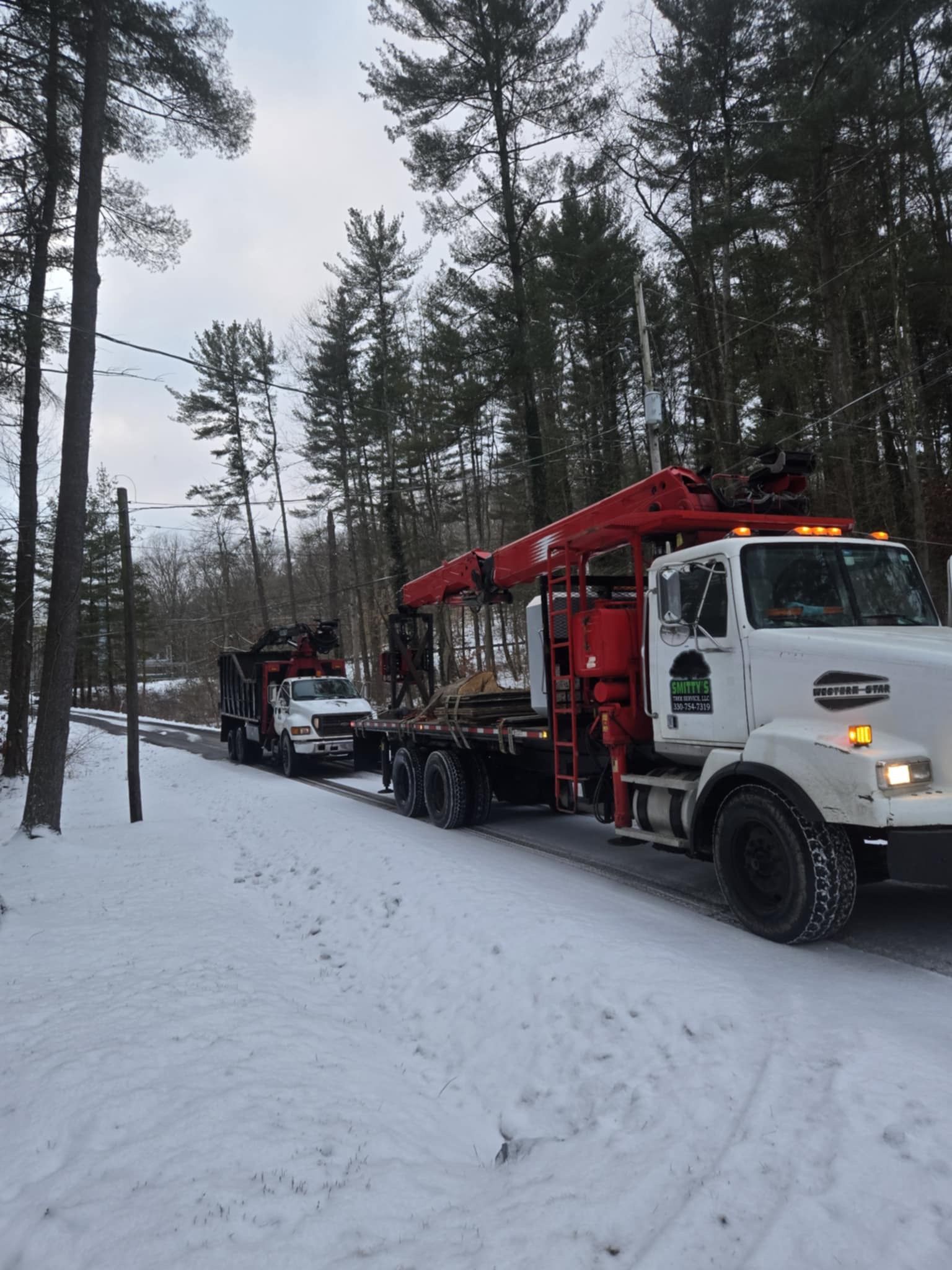 Two red crane trucks on a snow-covered road near tall trees.
