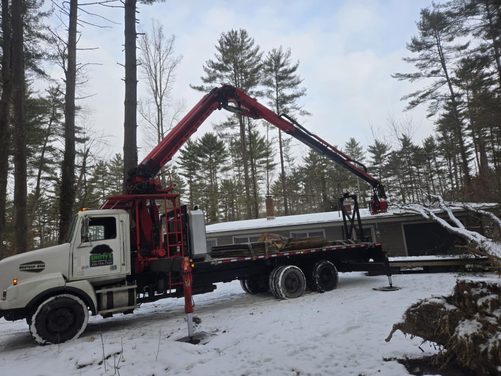 Crane truck removing tree branches from a building in a snowy forest.
