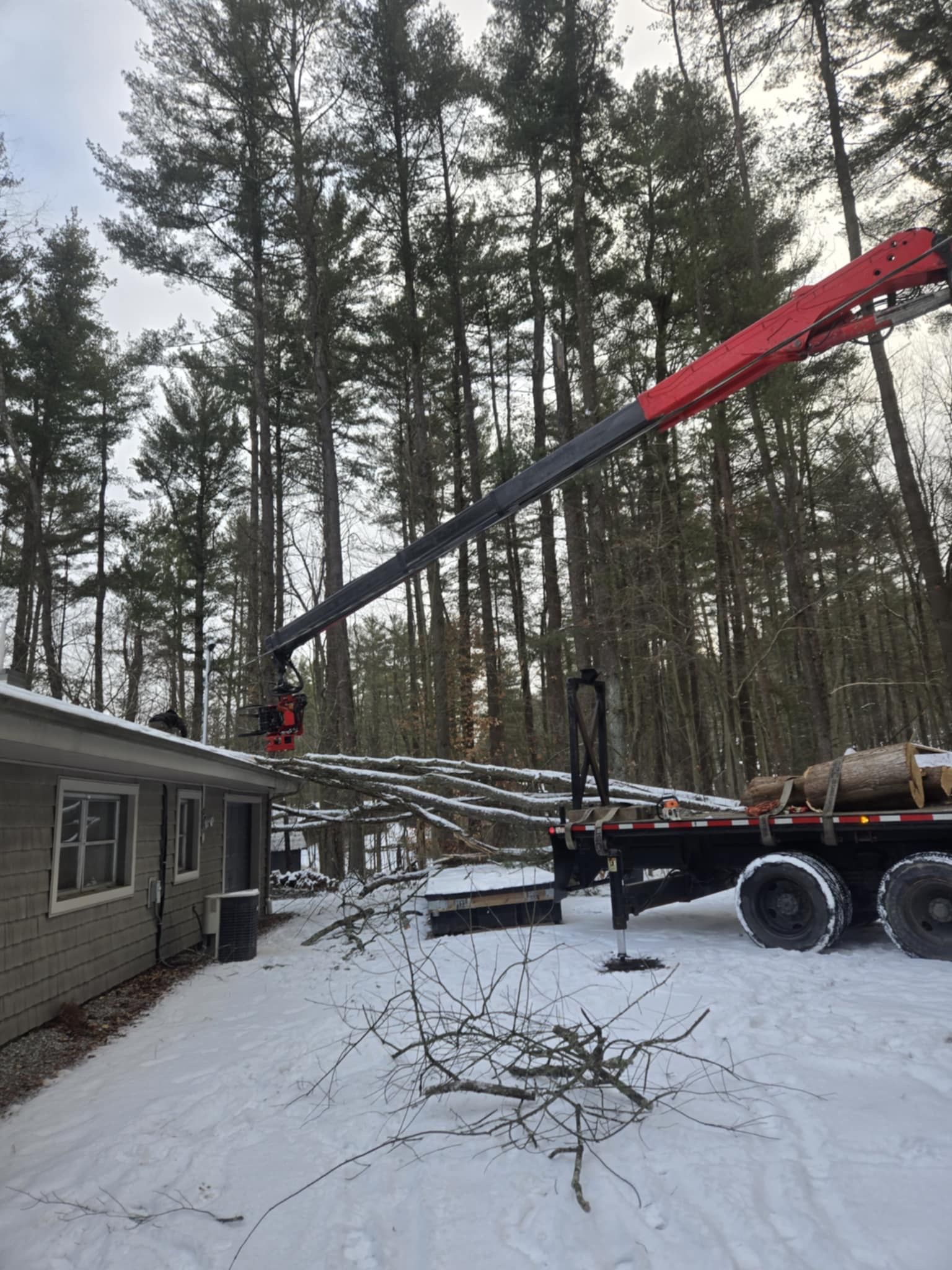 A crane lifting logs from a flatbed truck to a house roof covered in snow. Tall trees in background.