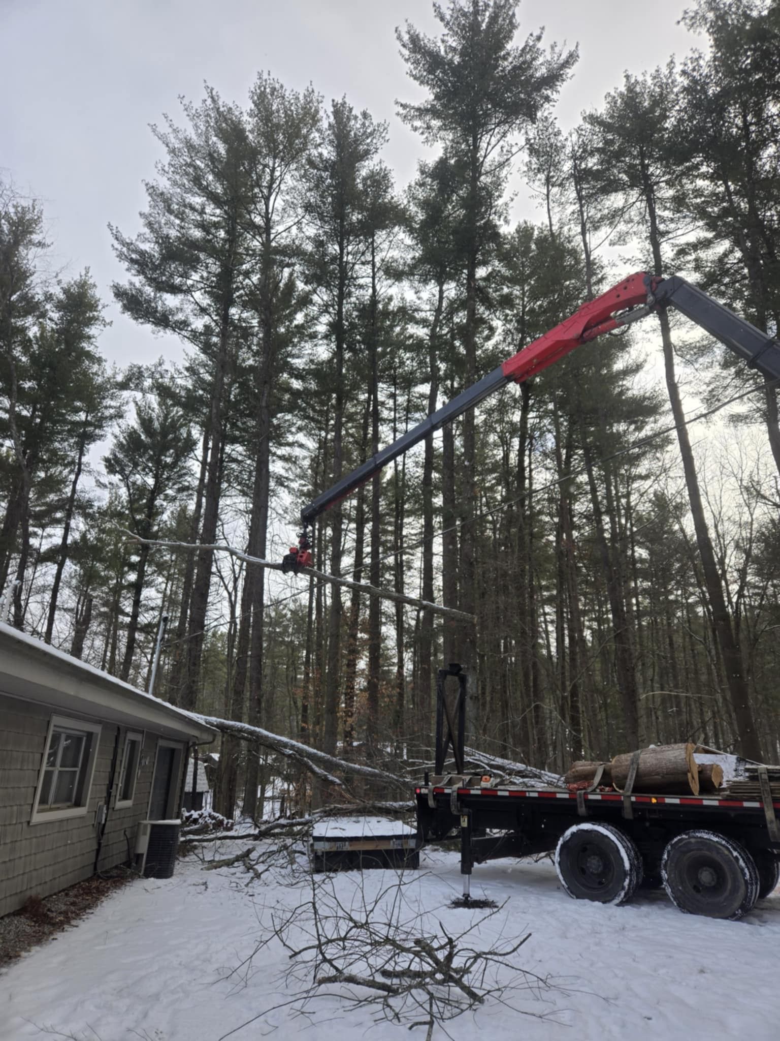 Crane cutting a tree branch near a house in a snowy, wooded area.