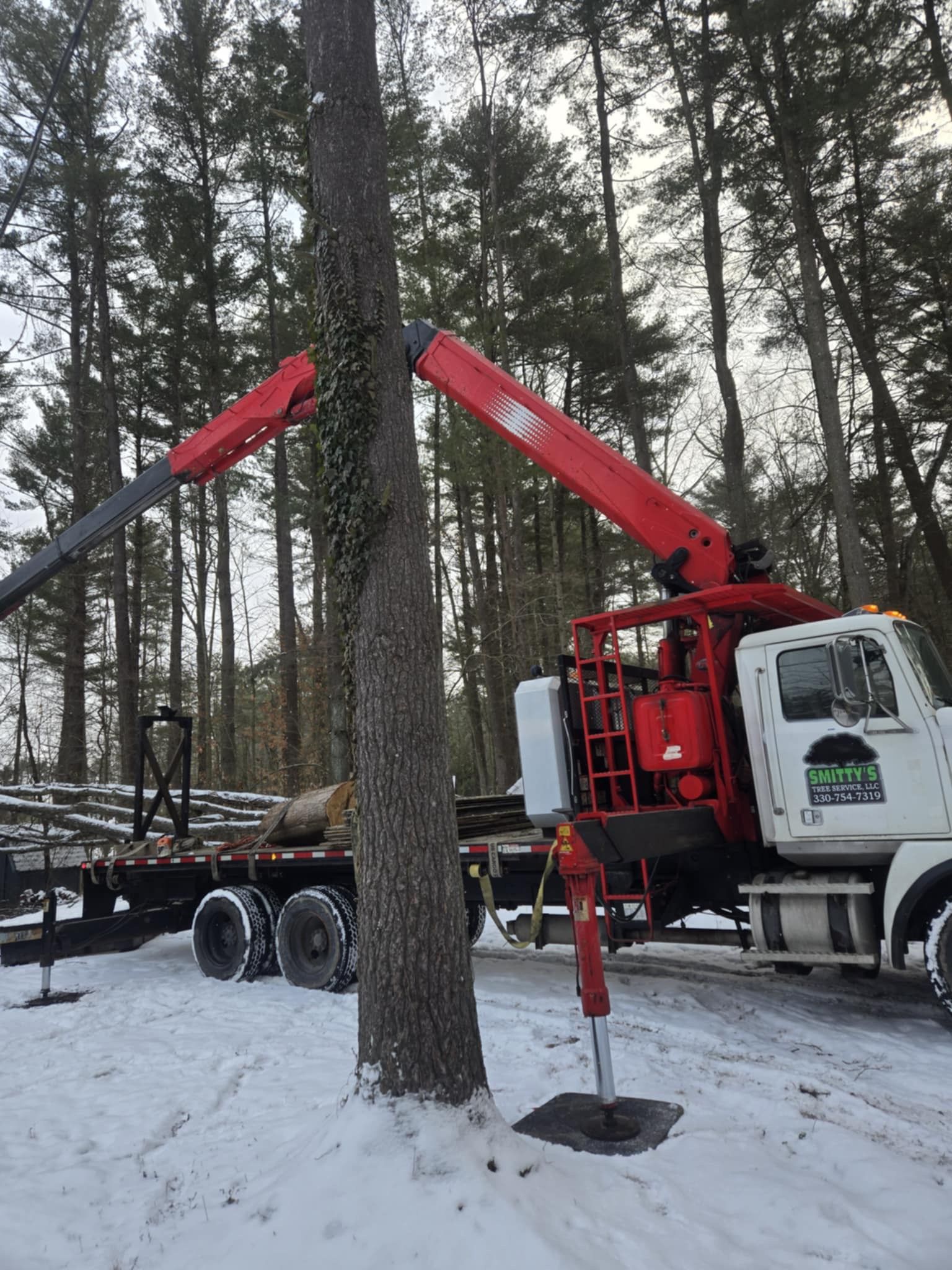 Red crane truck removing a tree in a snowy, wooded area.