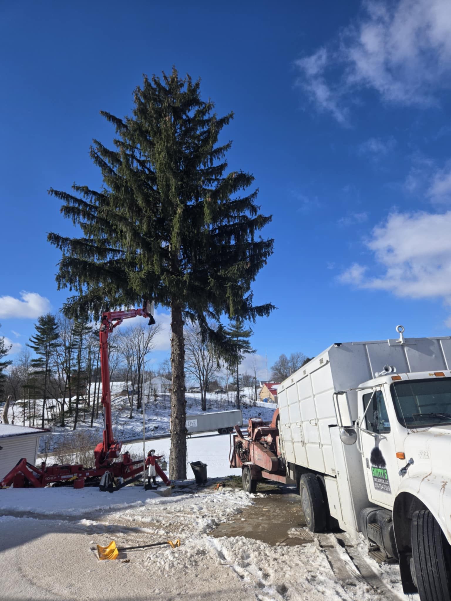 Tree being trimmed by a red lift truck; white truck with debris. Snowy ground, blue sky.
