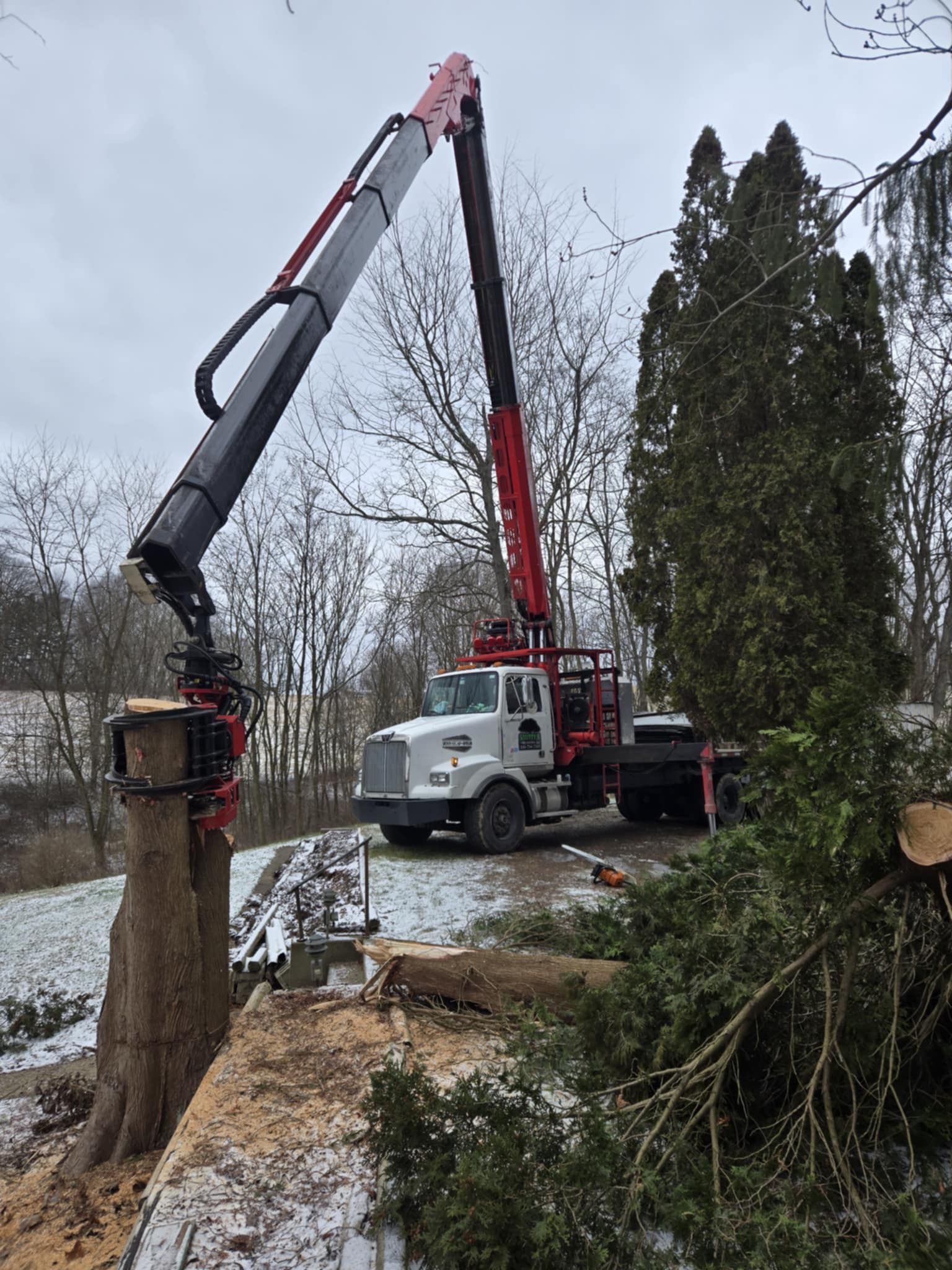 A tree service truck with crane cutting a tree. White truck with red arm against a cloudy sky.
