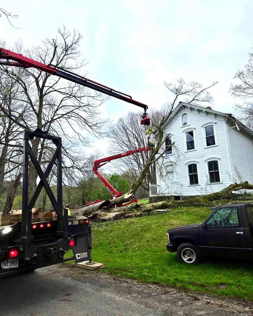 Truck crane removing a tree next to a white house; green grass, overcast sky.