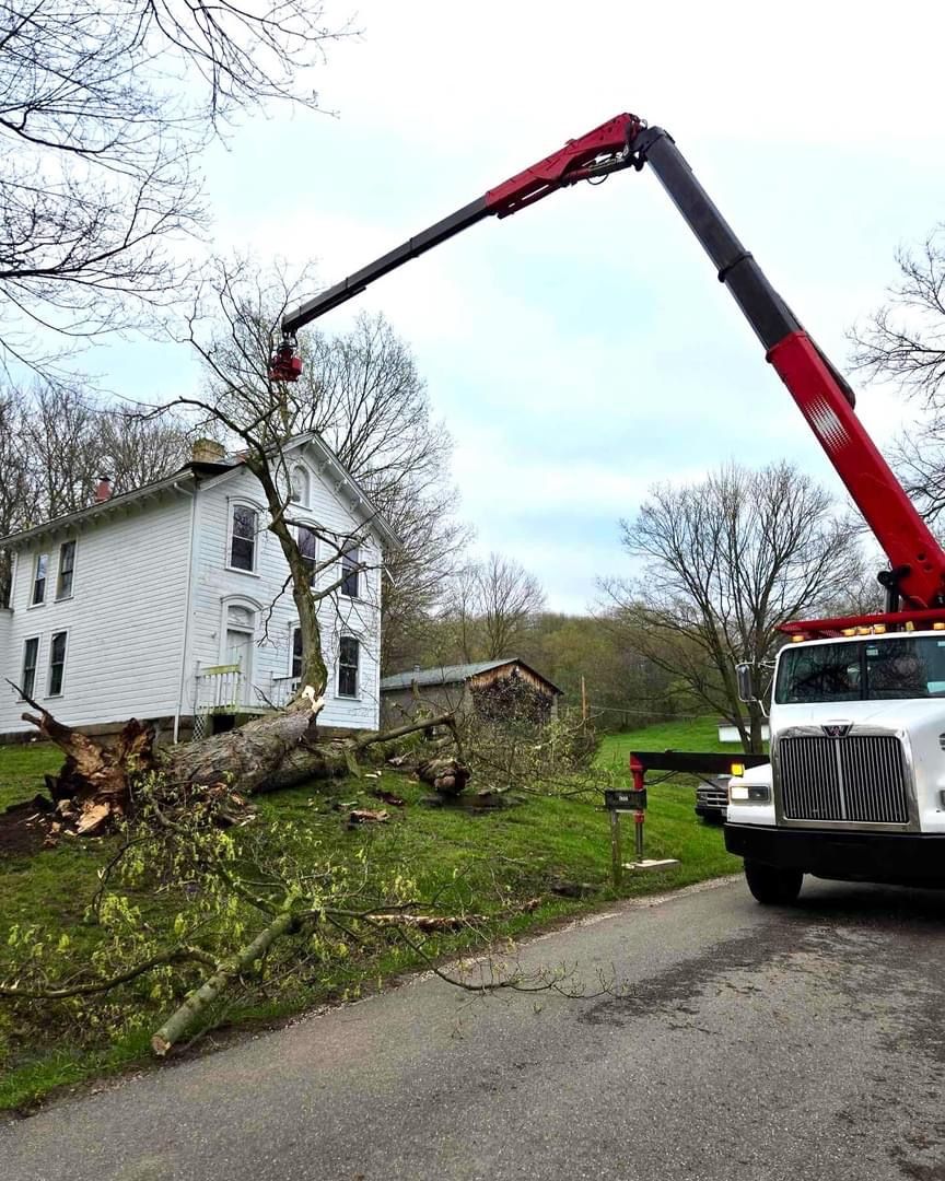 A tree being trimmed by a truck-mounted crane near a white house. Branches lie on the ground.