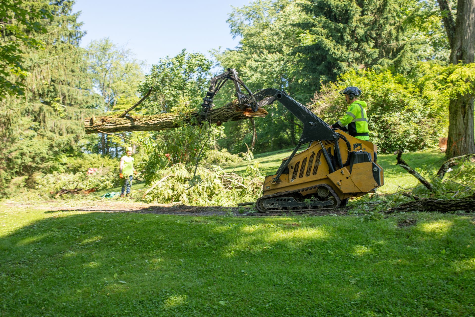 A small, yellow tree-trimming machine with operator working on a tree branch in a grassy, wooded area.