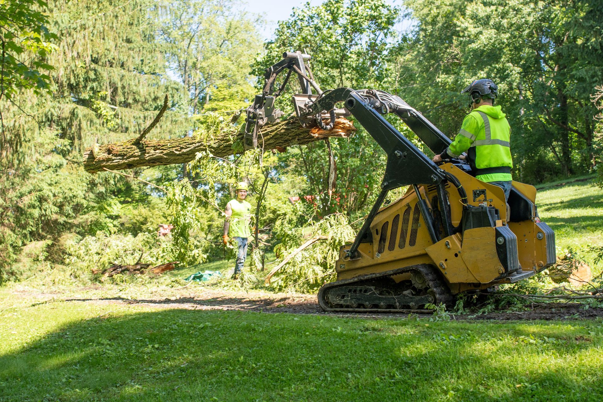 Two people trimming a tree with a tracked skid steer loader. One person operates the machine, the other stands by.