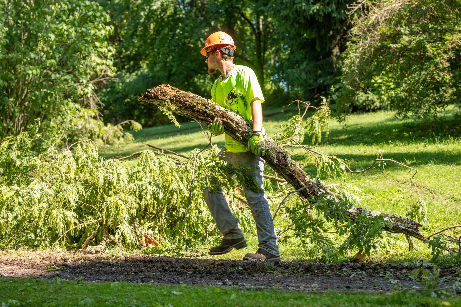 Person wearing hard hat and safety vest carries a large tree branch in a grassy outdoor setting.