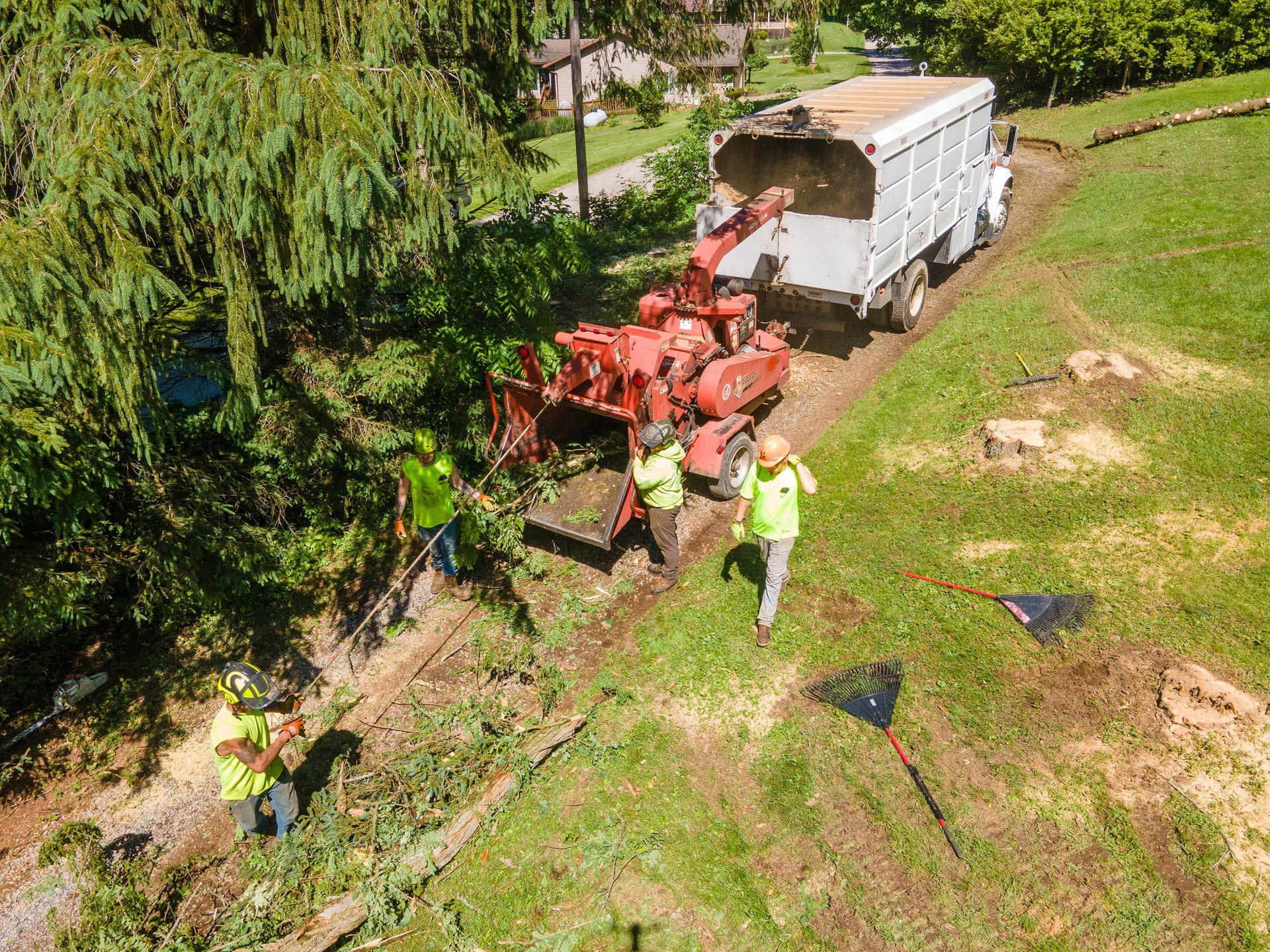 Tree removal crew grinding stump, loading wood chips into truck on grassy slope.