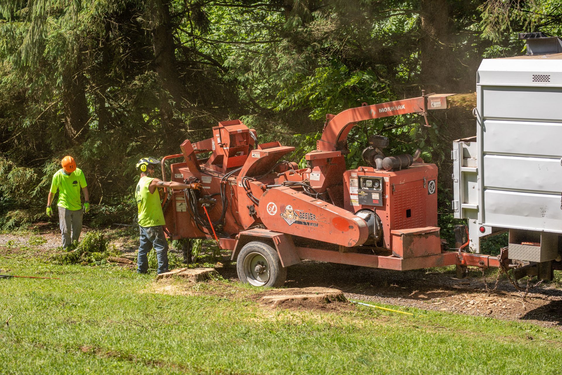 Workers using a wood chipper to process tree branches, with a truck alongside, outdoors.