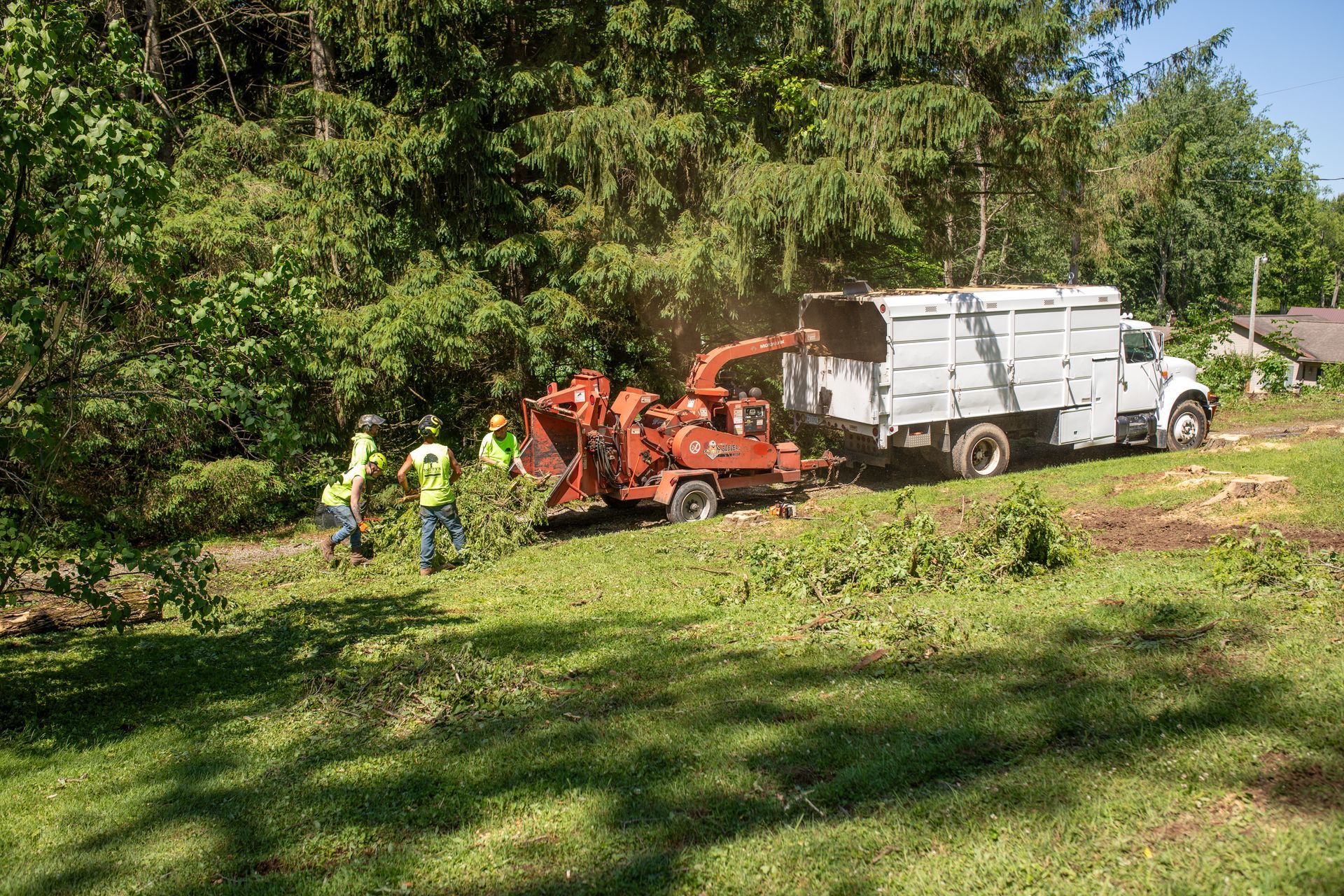Tree service crew chipping branches into a truck in a wooded area.