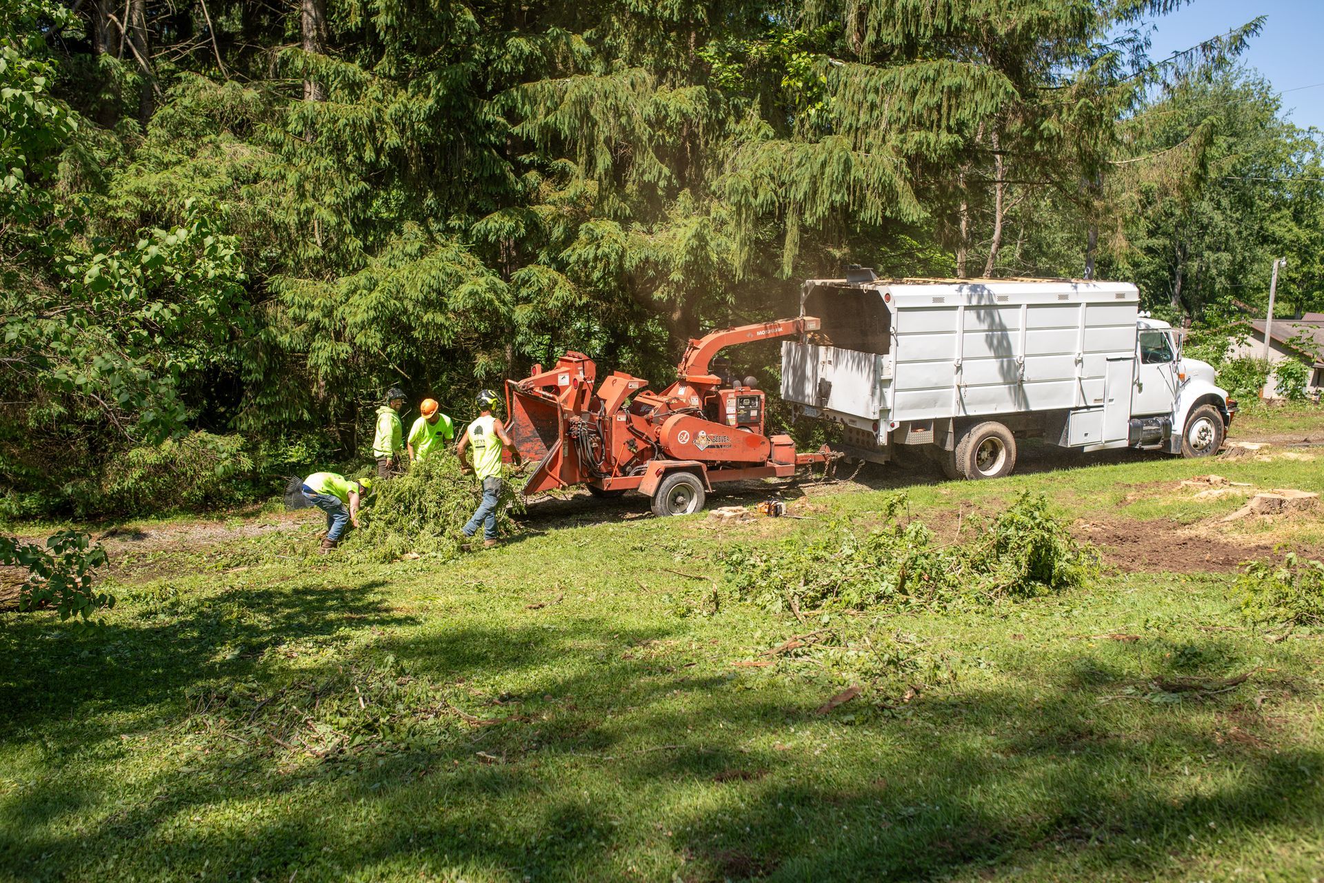 Crews chipping brush into a truck in a wooded area; workers wear safety vests.