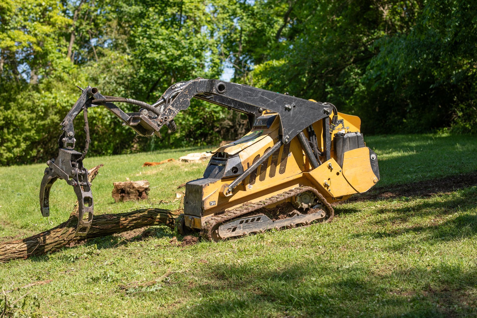 Yellow track loader with grapple arm lifting a log in a grassy area with trees.