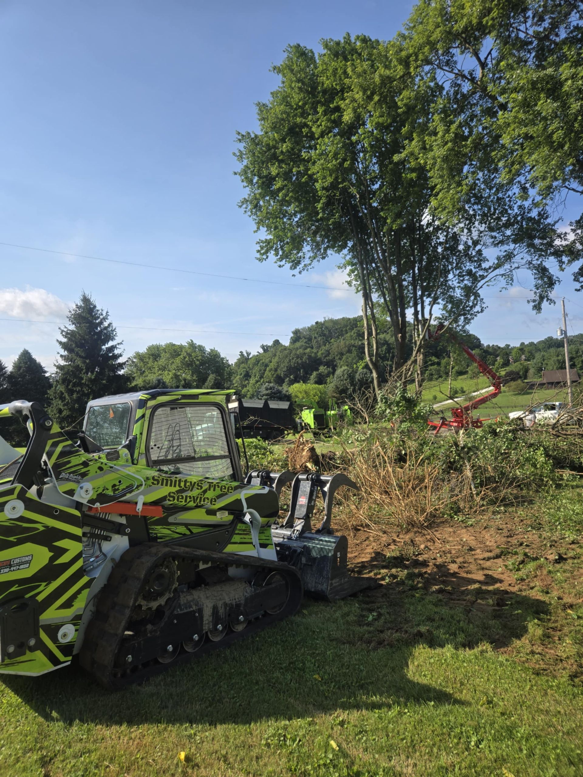 Green tracked skid steer on grass, clearing brush near trees on a sunny day.
