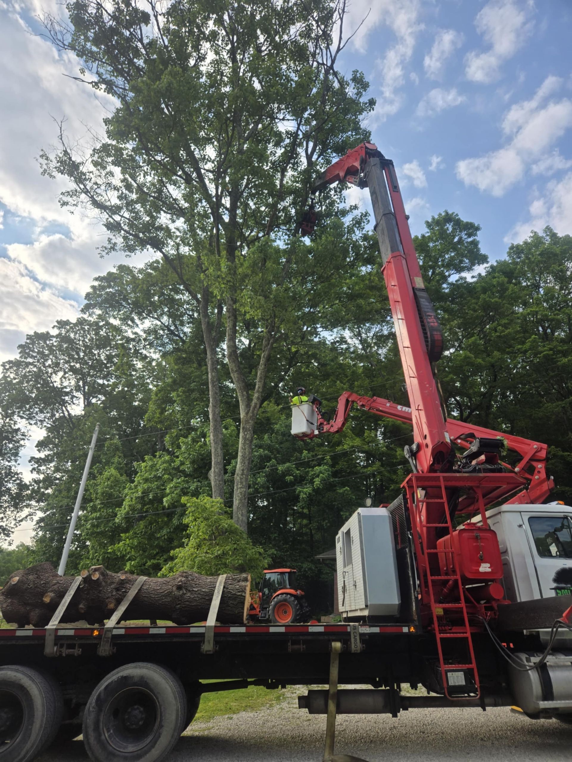 A tree being trimmed by a worker in a cherry picker, truck holds logs and tractor. Outdoors, daytime.
