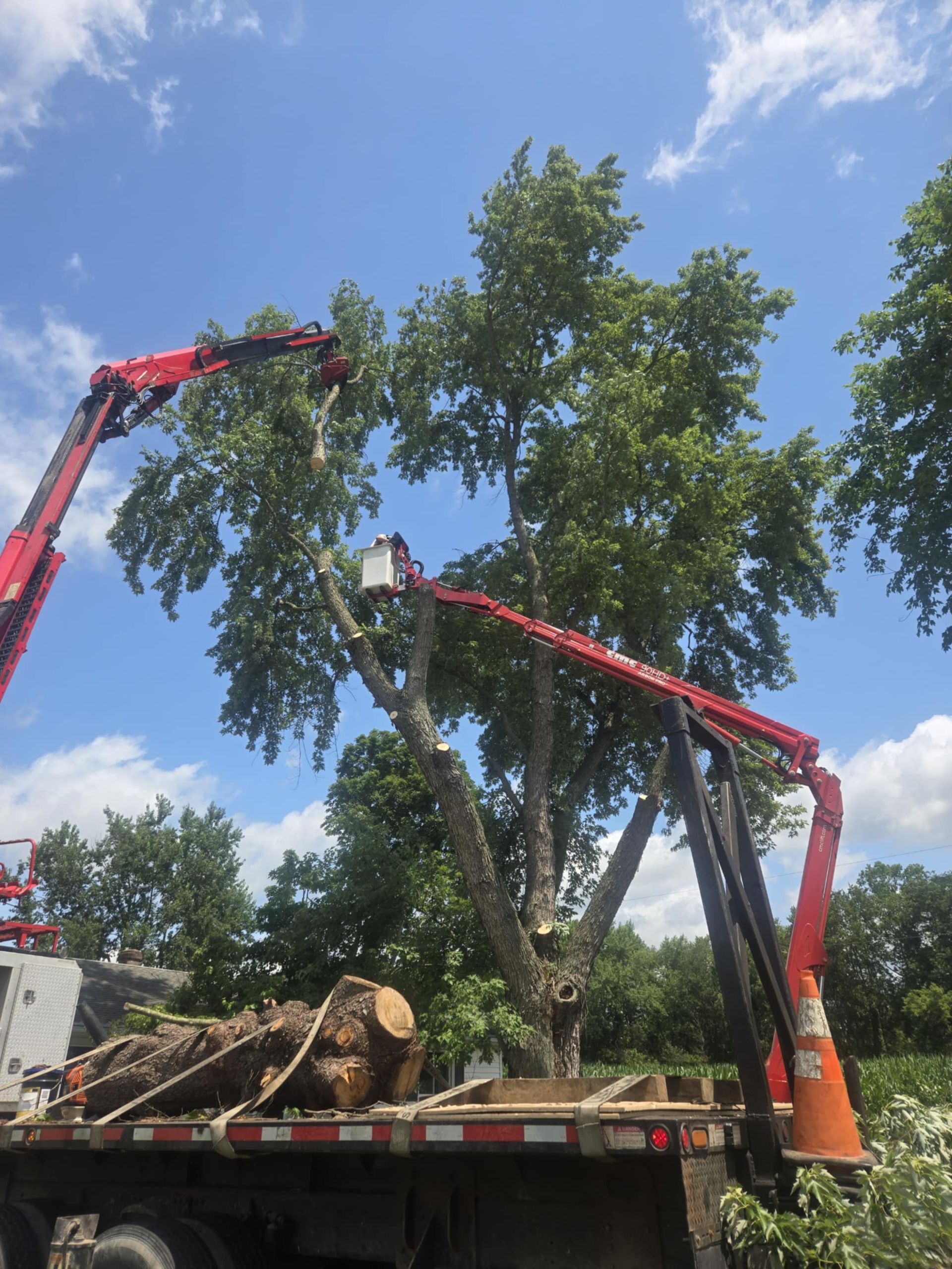 Tree being trimmed by a worker in a bucket truck with two extended red booms against a blue sky.