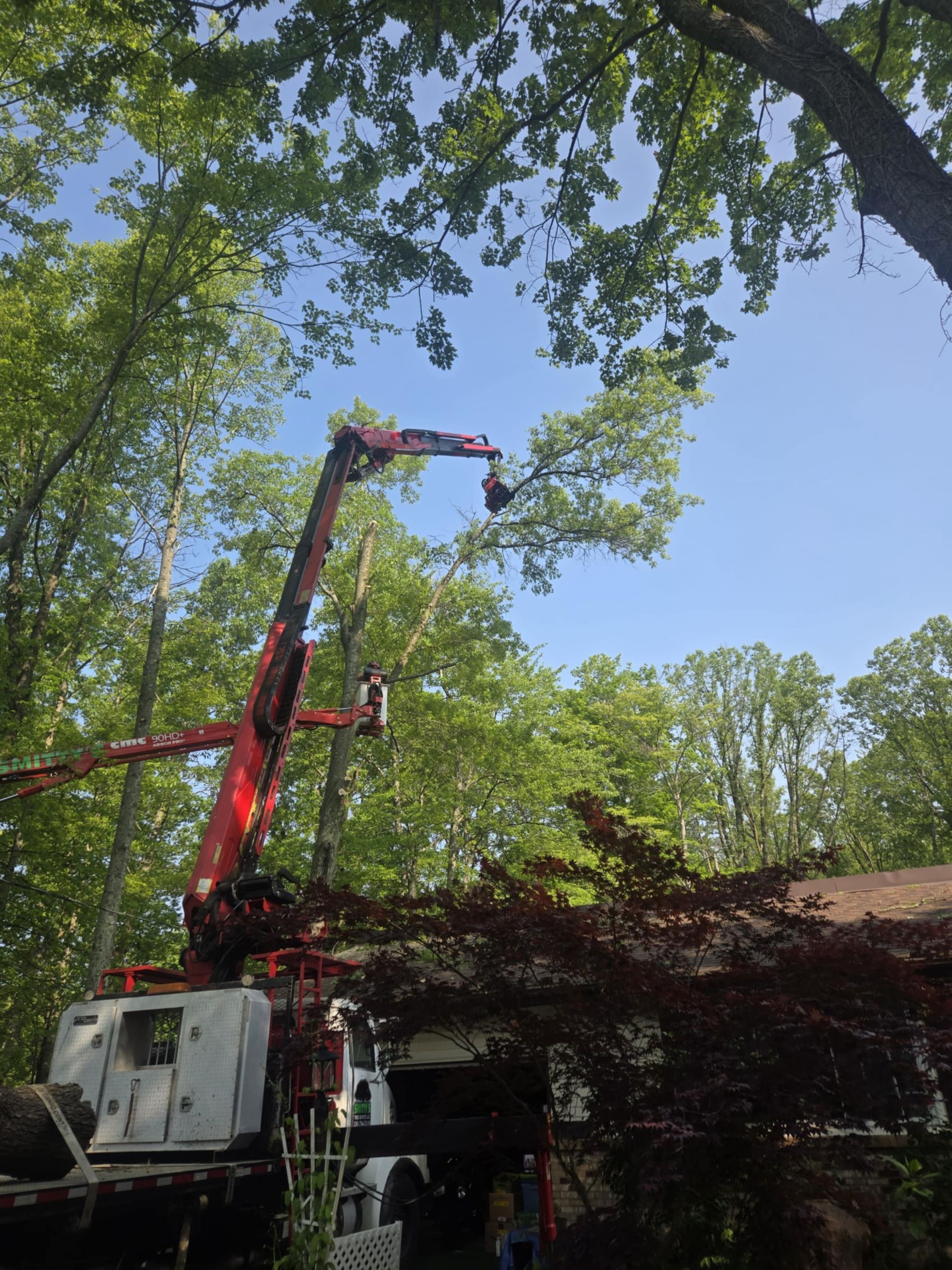 Tree trimming: A red crane with a worker cutting tree branches near a house, blue sky, and green trees.