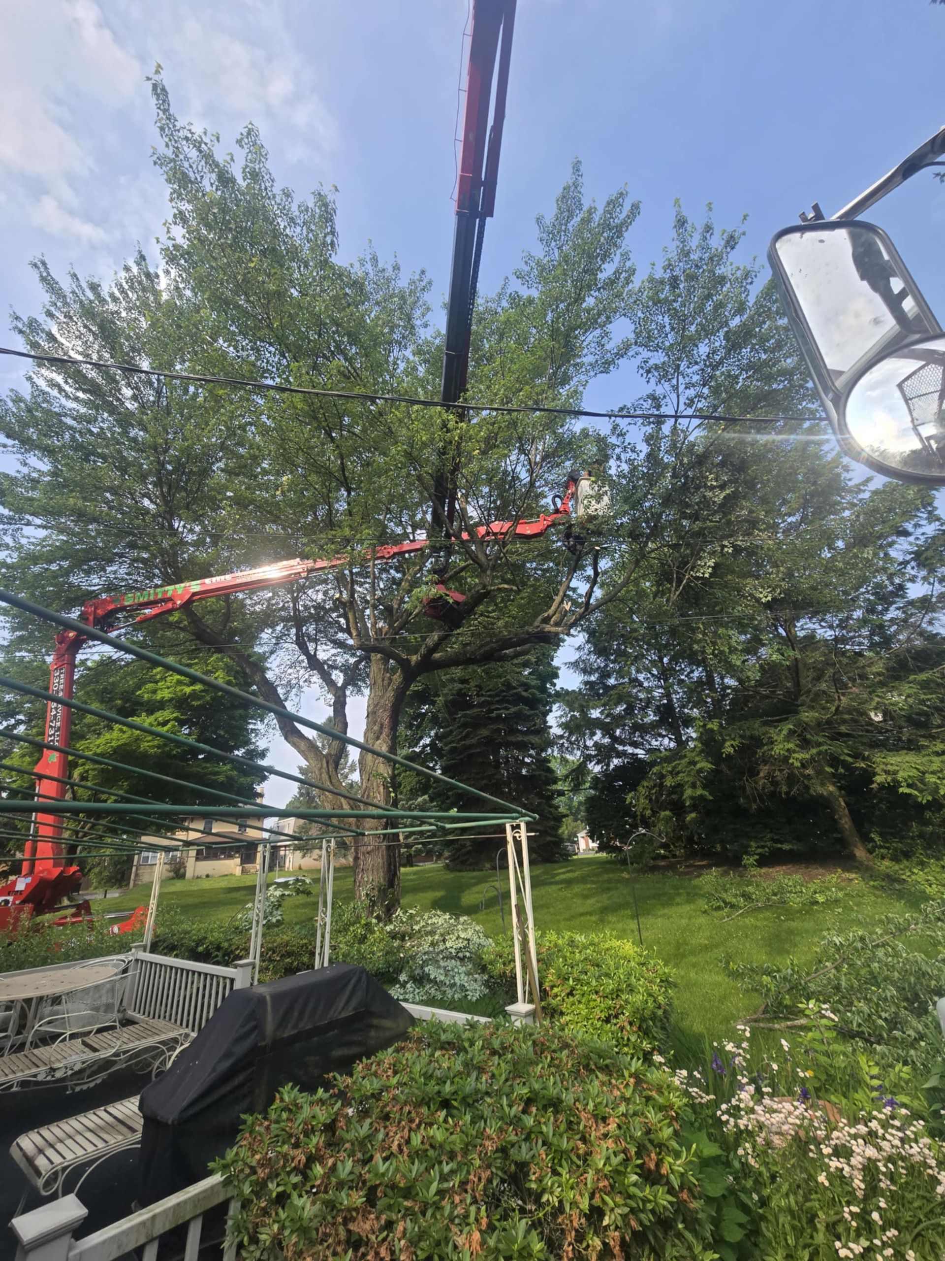 Tree trimming: A worker in a red lift truck trims branches near power lines on a sunny day.