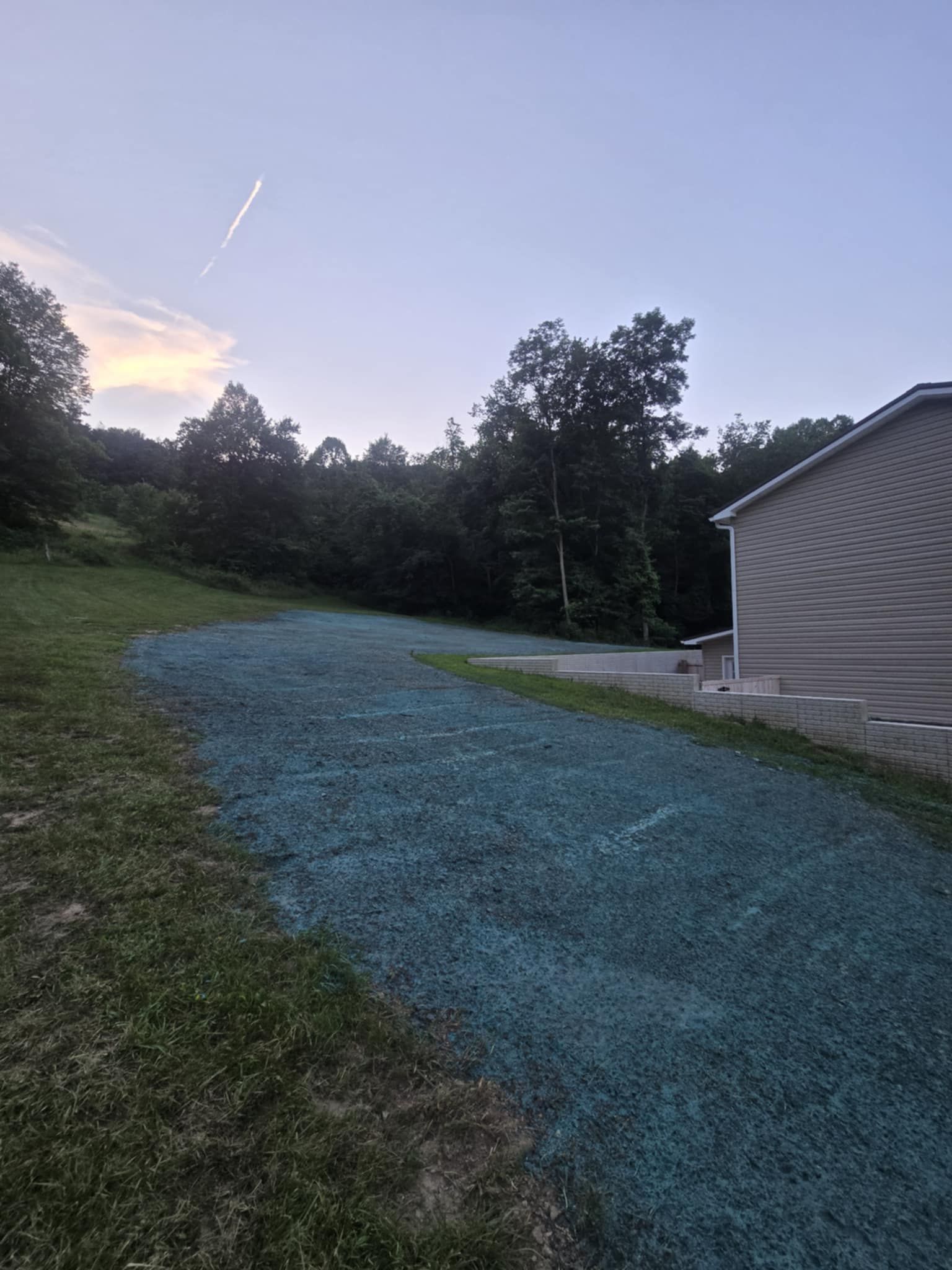 A grassy area covered in blue seed, next to a building and trees on a hill.