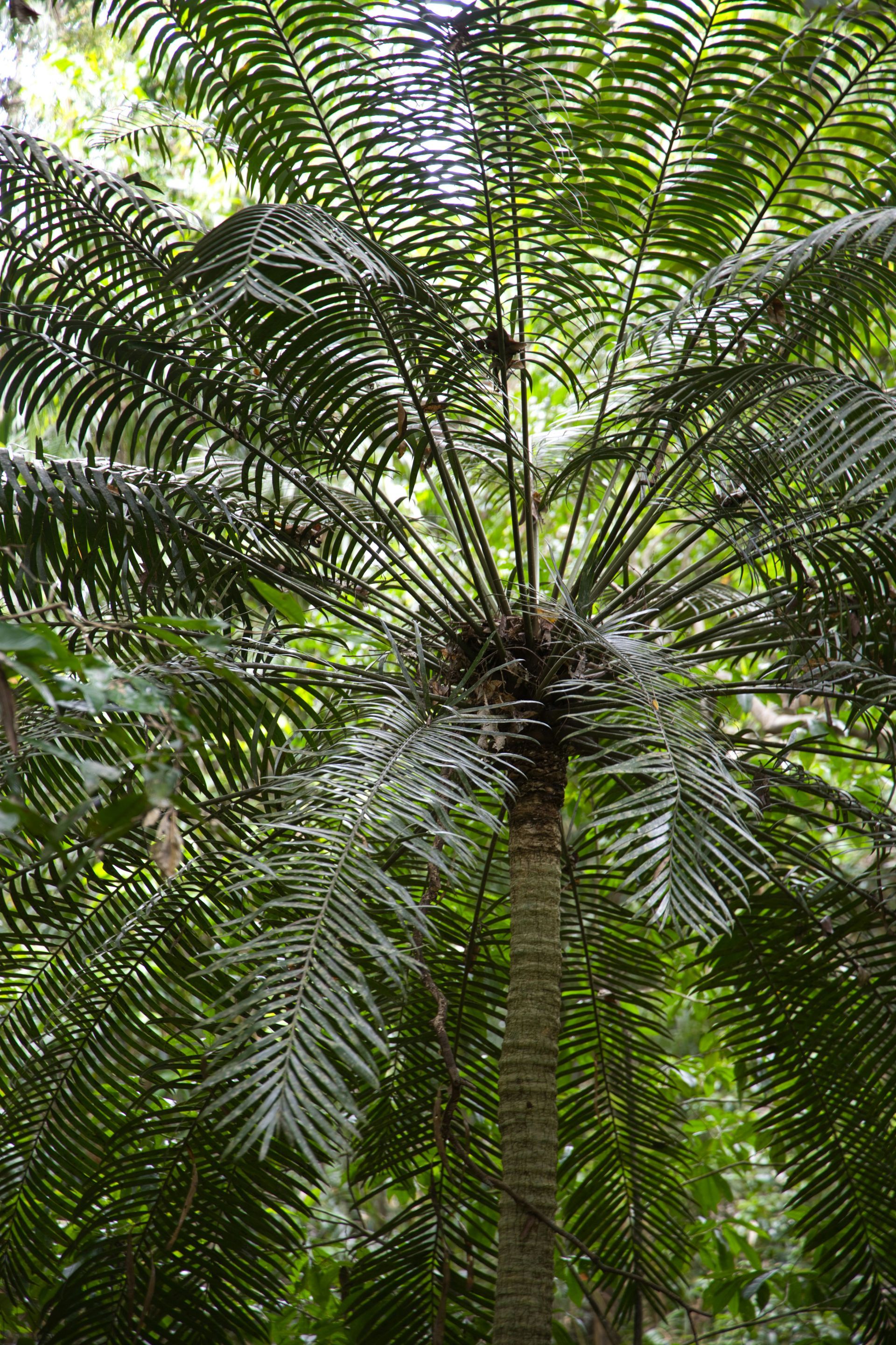 brisbane legal recruitment networks represented by fern